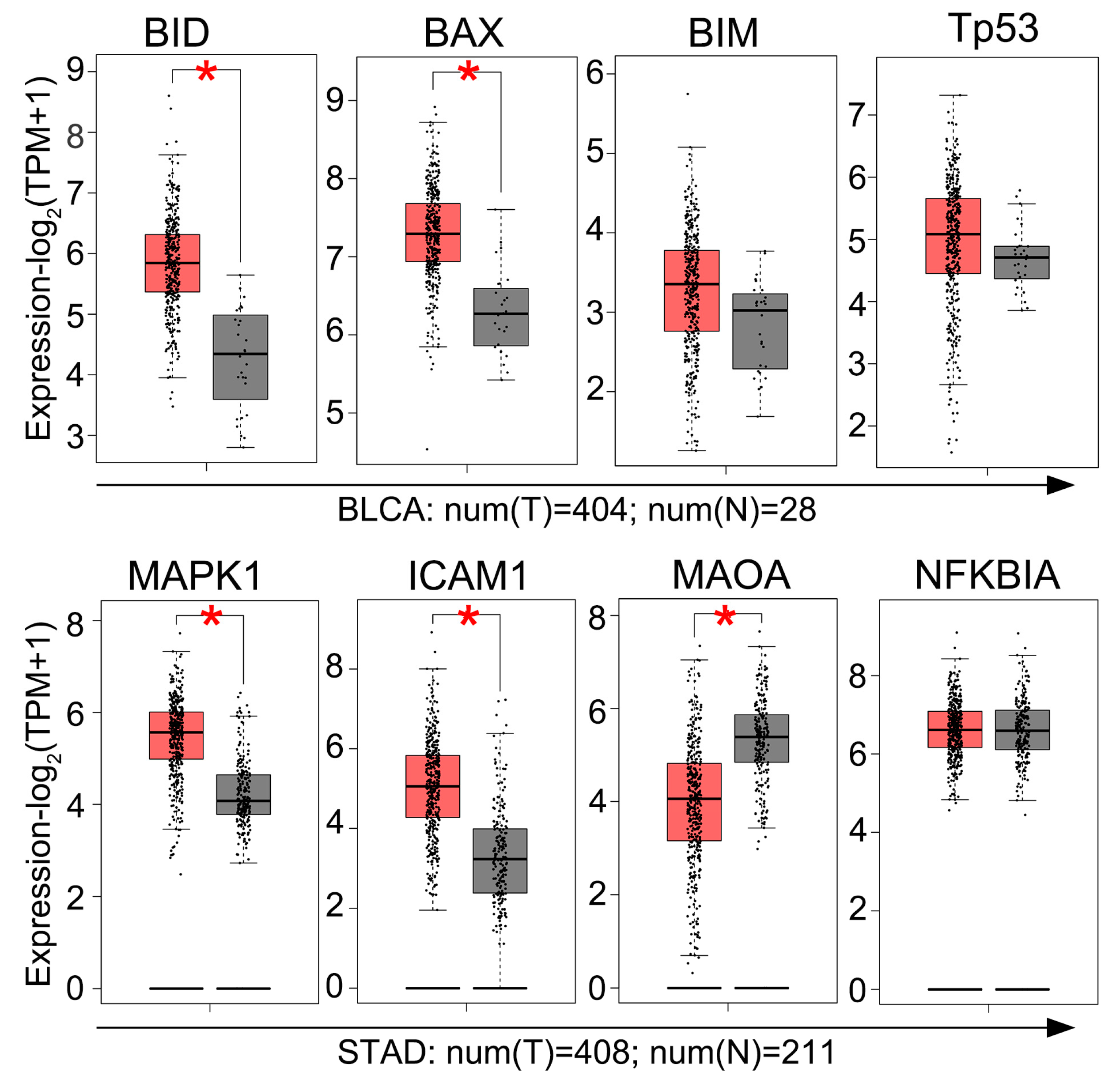Pharmaceuticals 18 00472 g007