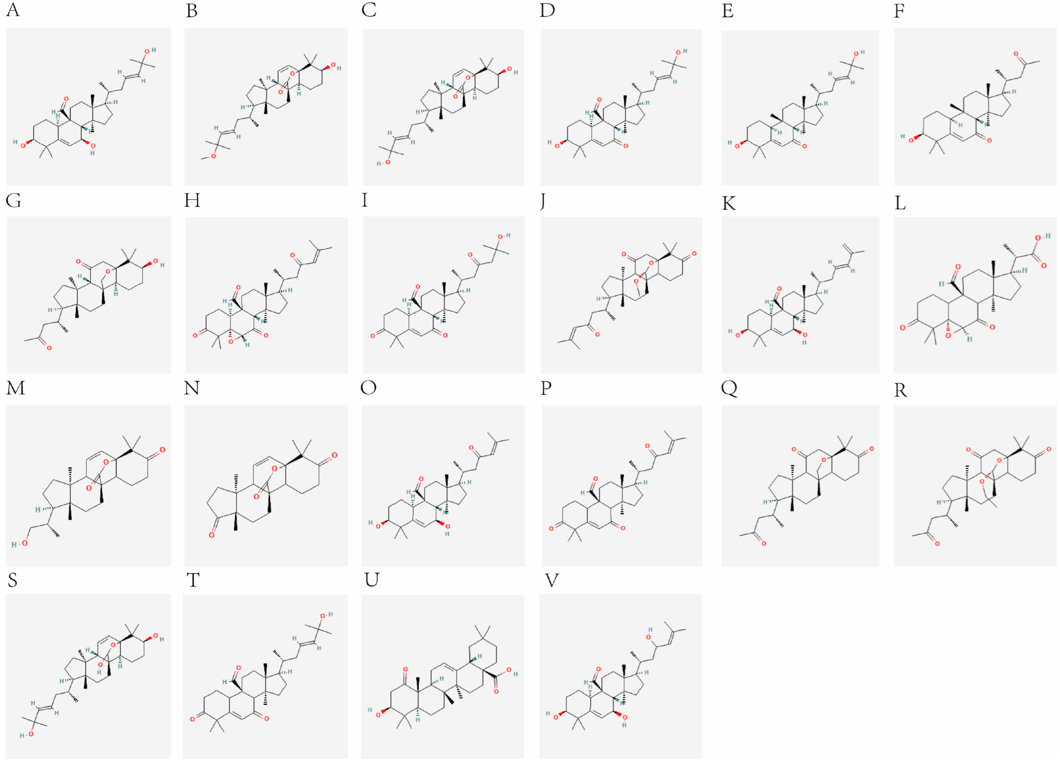 Pharmaceuticals 18 00474 g001