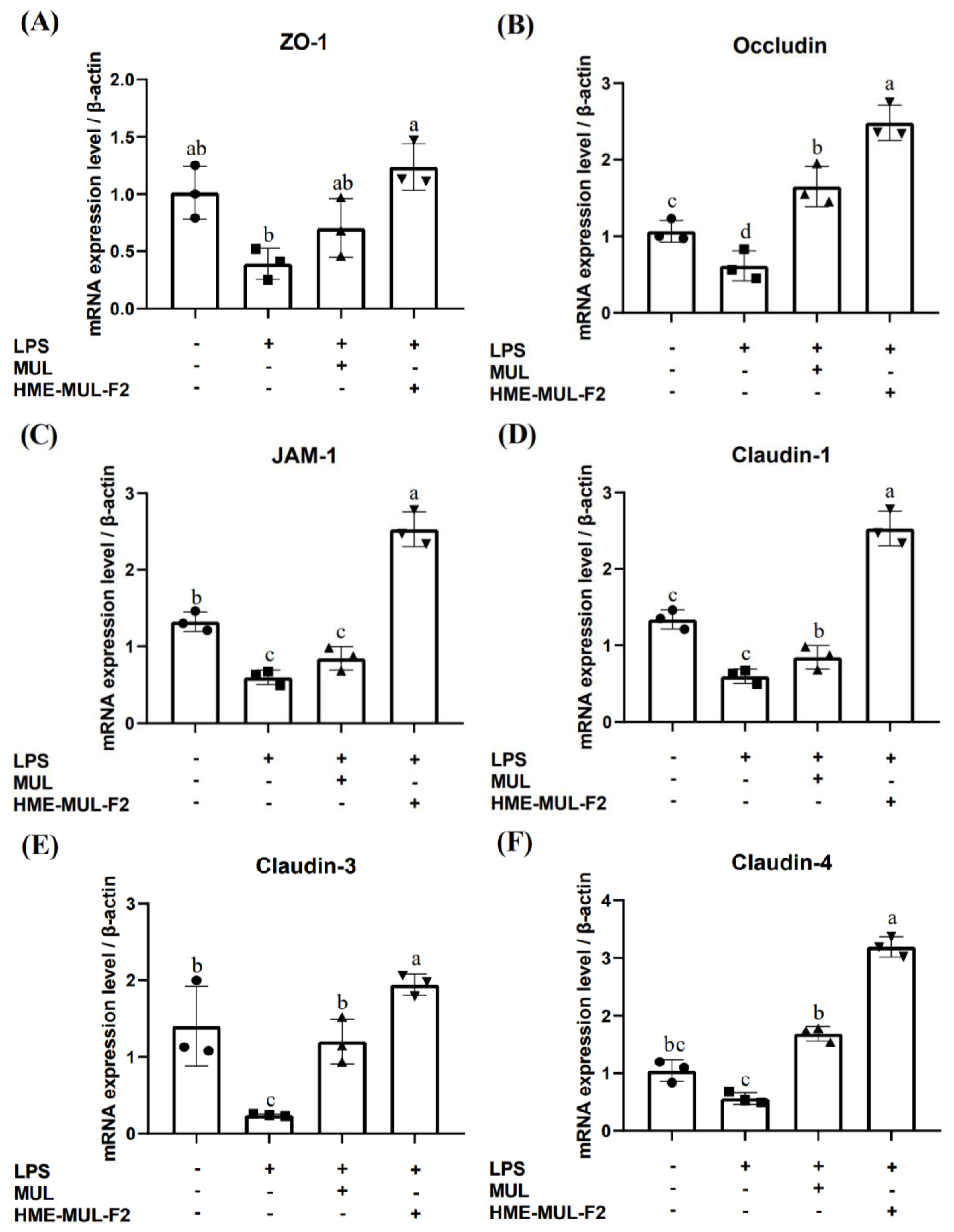 Pharmaceuticals 18 00475 g004 Pharmaceuticals 18 00475 g004
