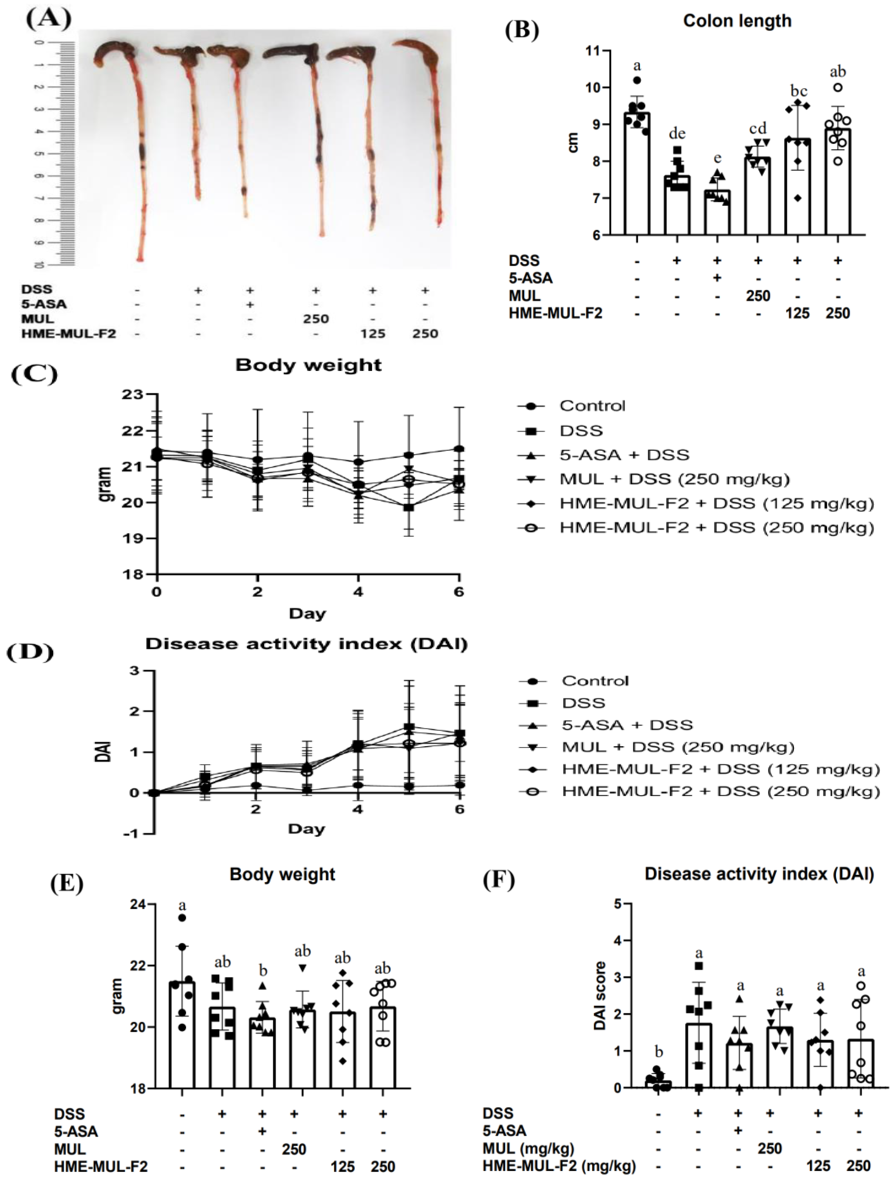 Pharmaceuticals 18 00475 g005 Pharmaceuticals 18 00475 g005
