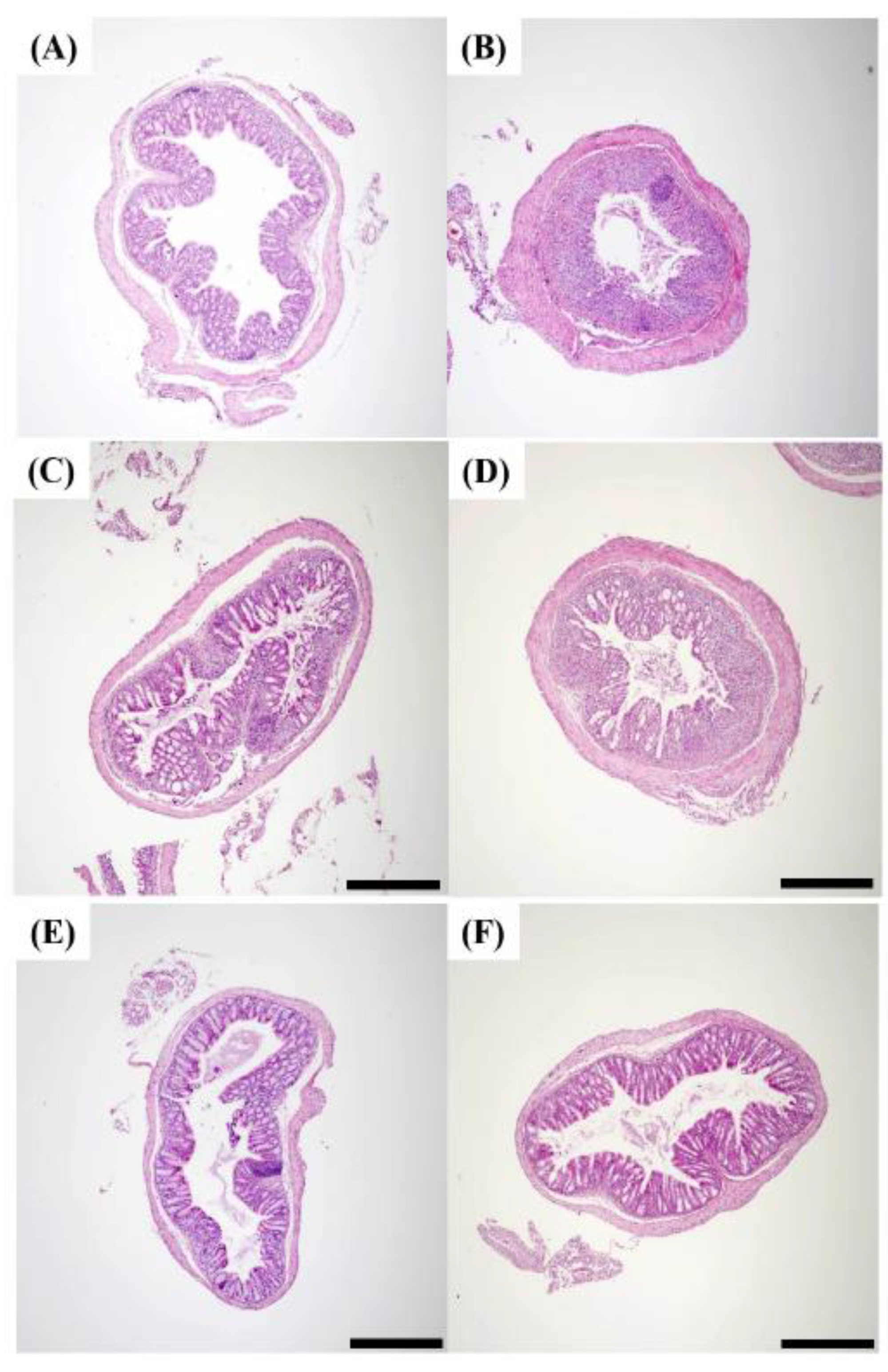Pharmaceuticals 18 00475 g007 Pharmaceuticals 18 00475 g007