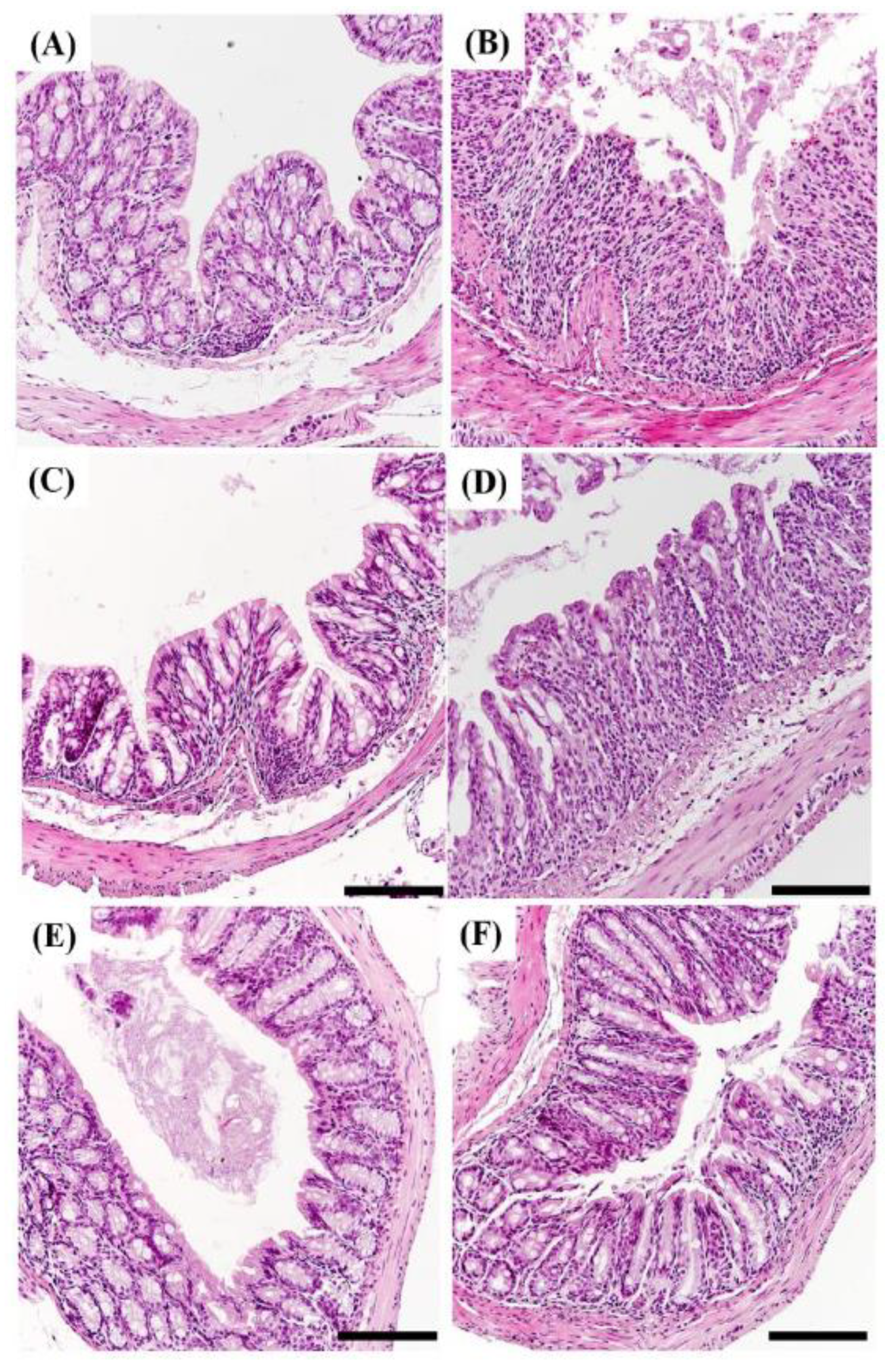 Pharmaceuticals 18 00475 g008 Pharmaceuticals 18 00475 g008
