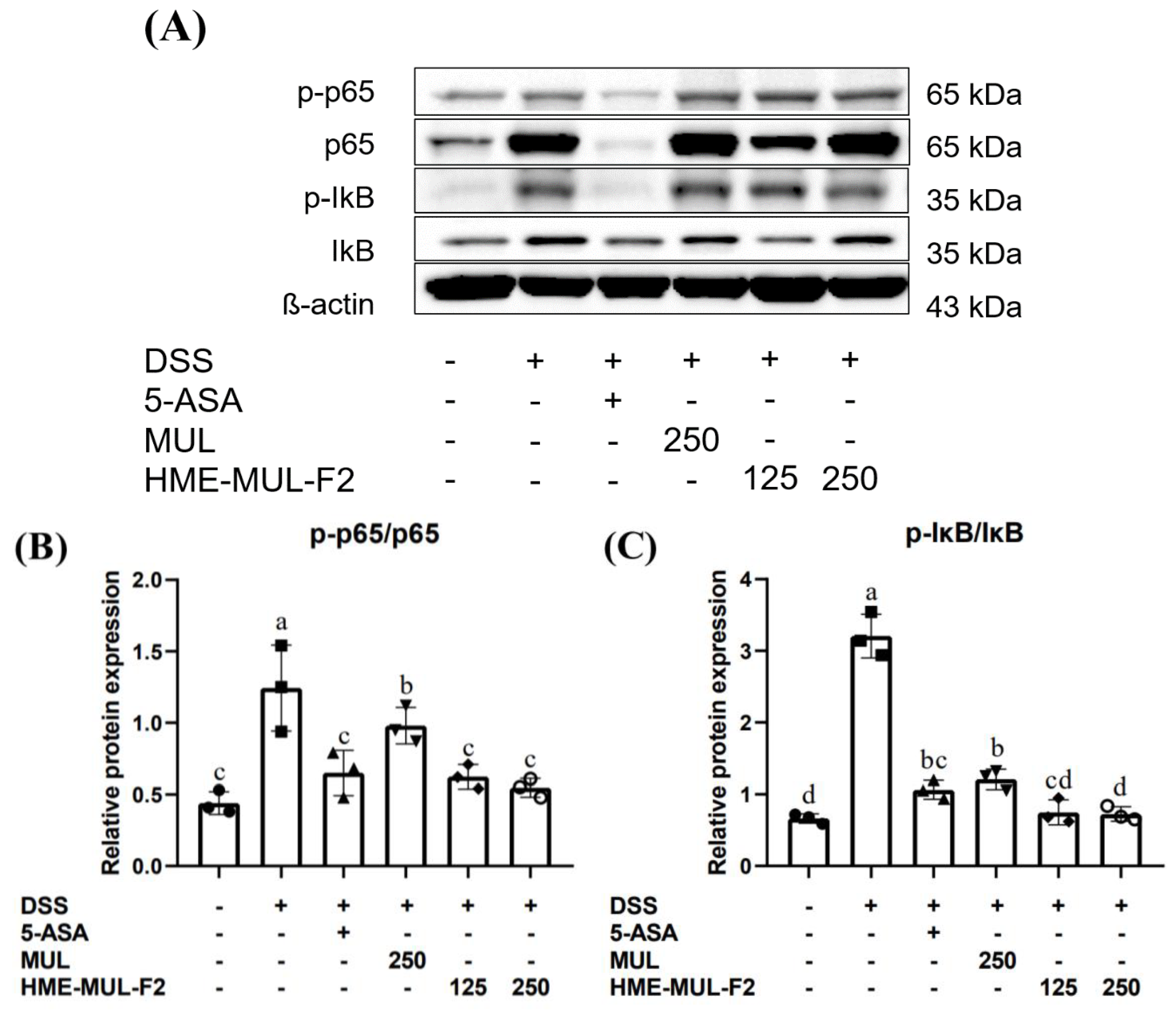Pharmaceuticals 18 00475 g010 Pharmaceuticals 18 00475 g010