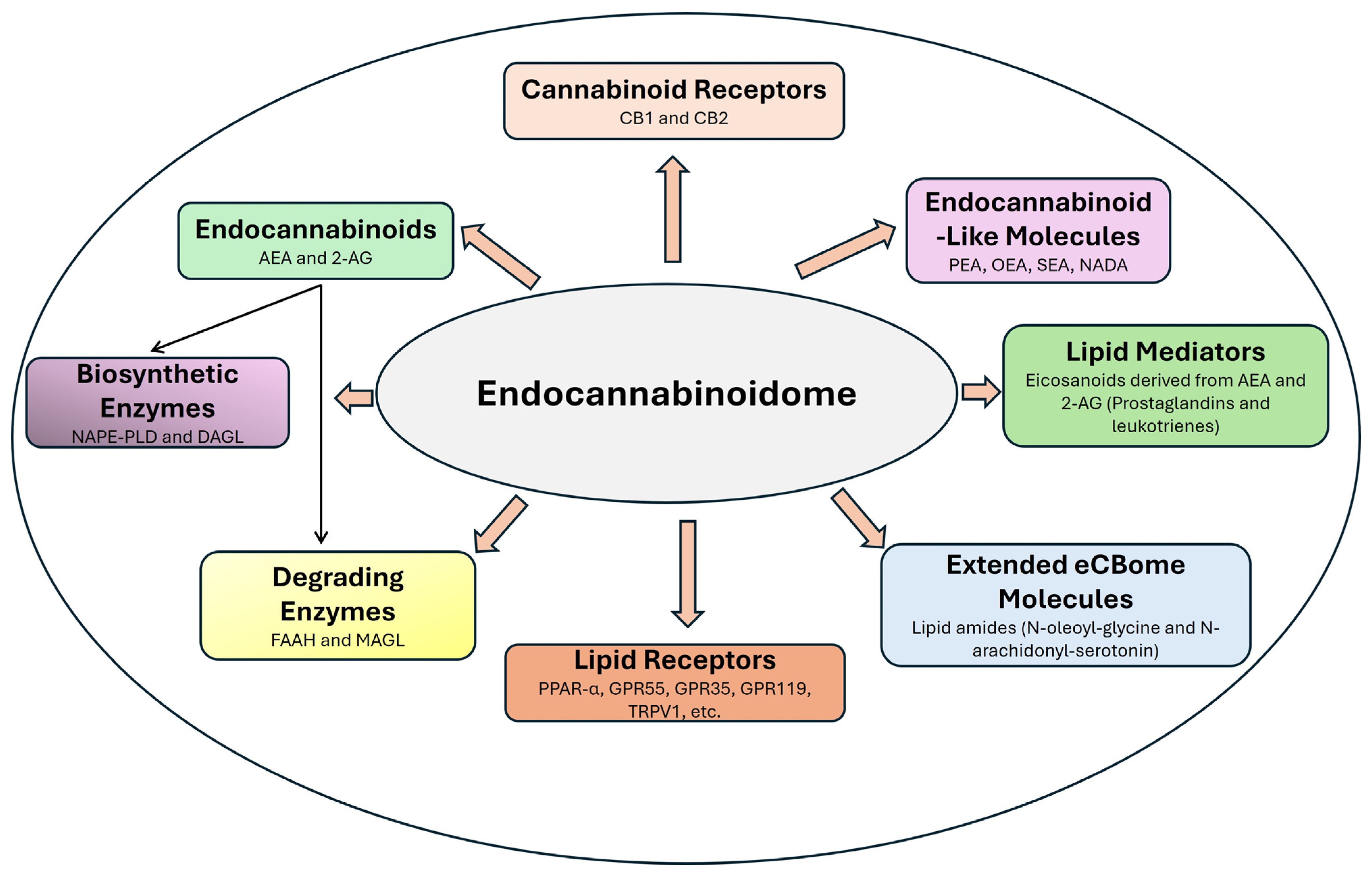 Pharmaceuticals 18 00478 g002 Pharmaceuticals 18 00478 g002
