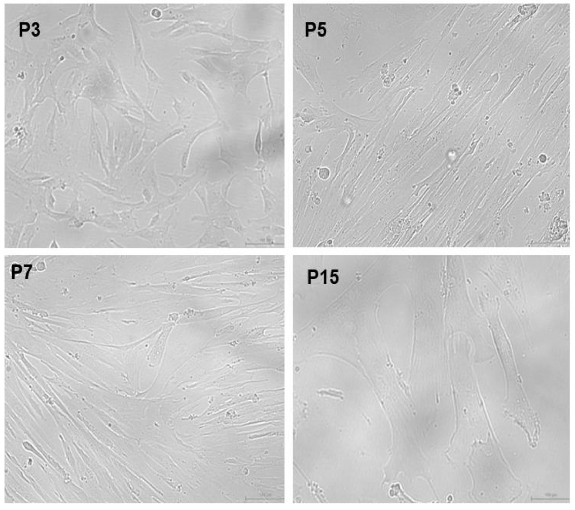 Pharmaceuticals 18 00483 g001