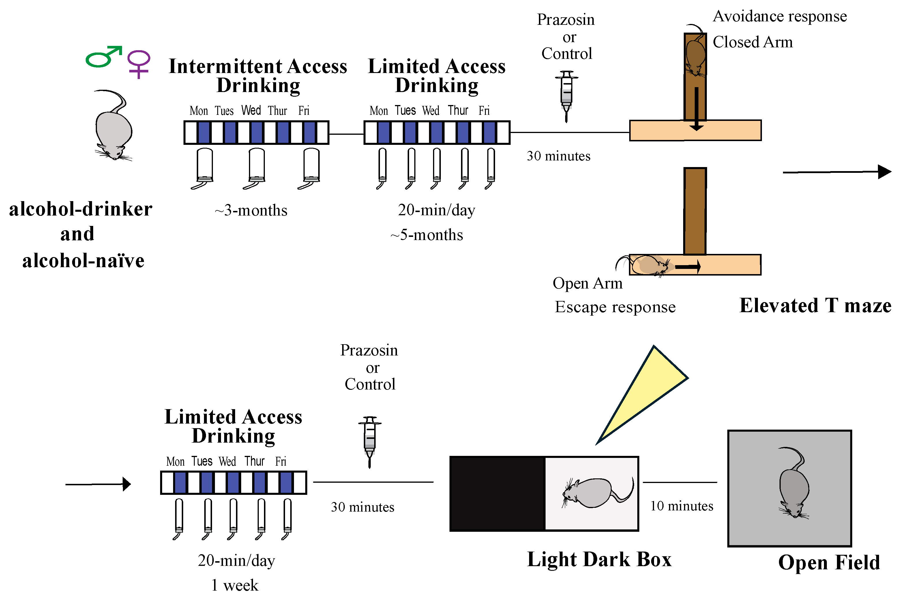 Pharmaceuticals 18 00484 g001