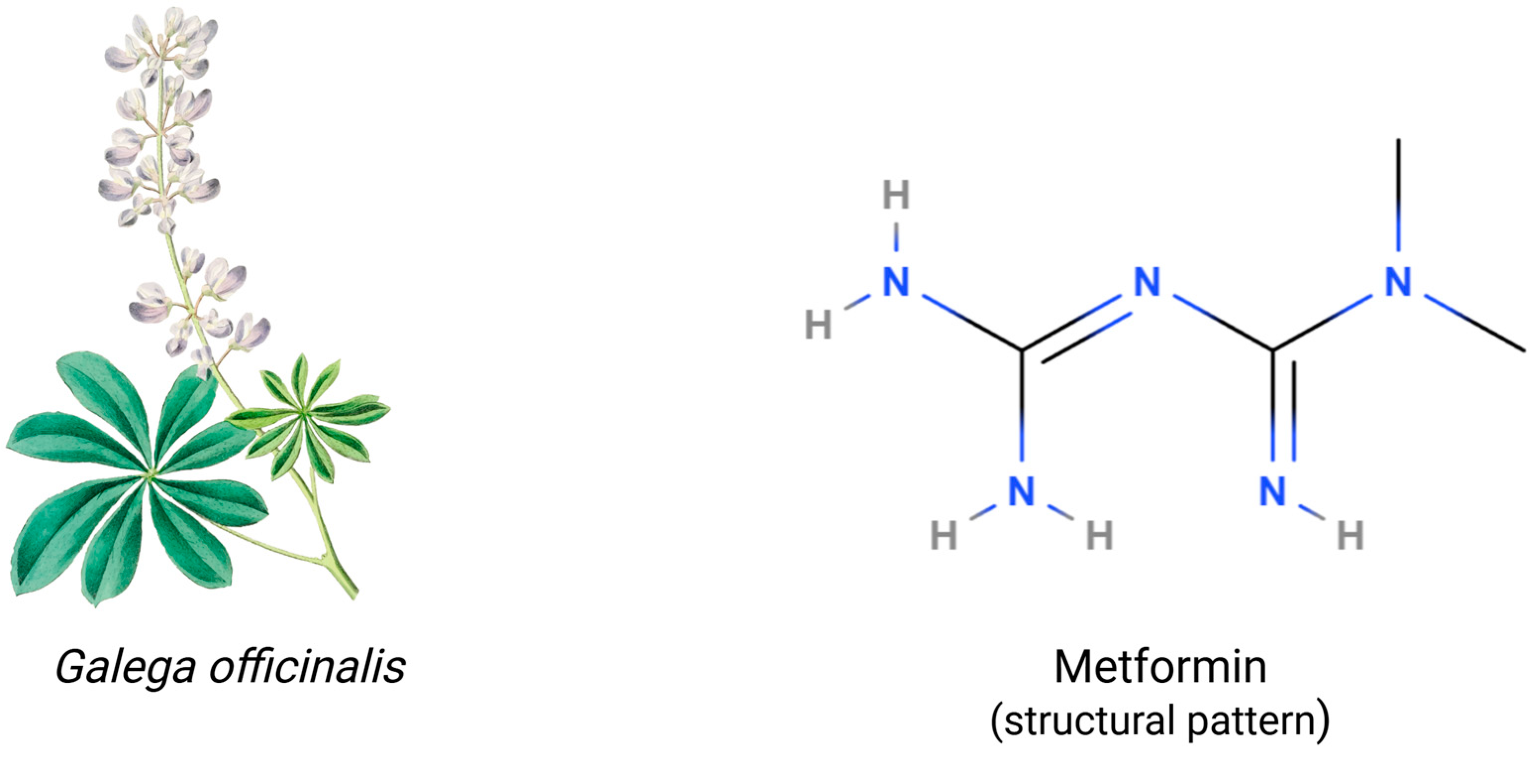 Pharmaceuticals 18 00486 g001