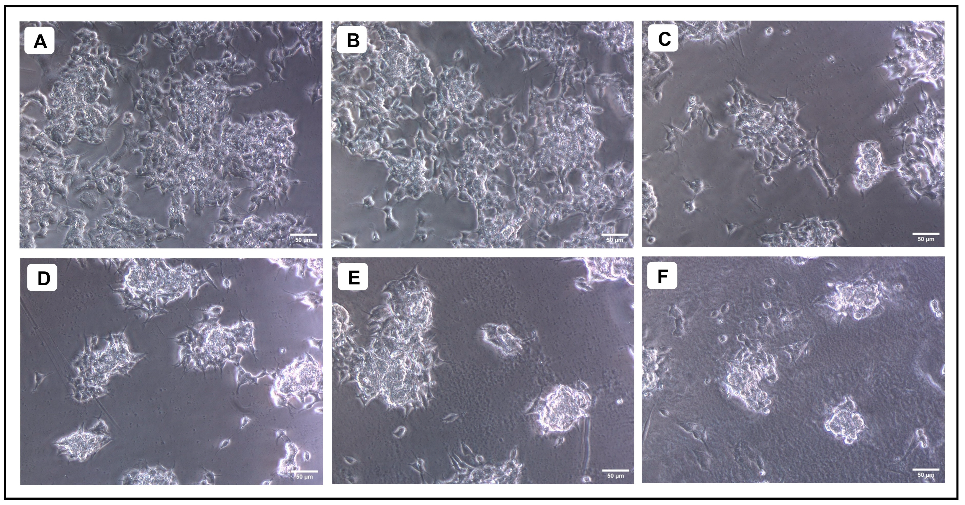 Pharmaceuticals 18 00489 g007