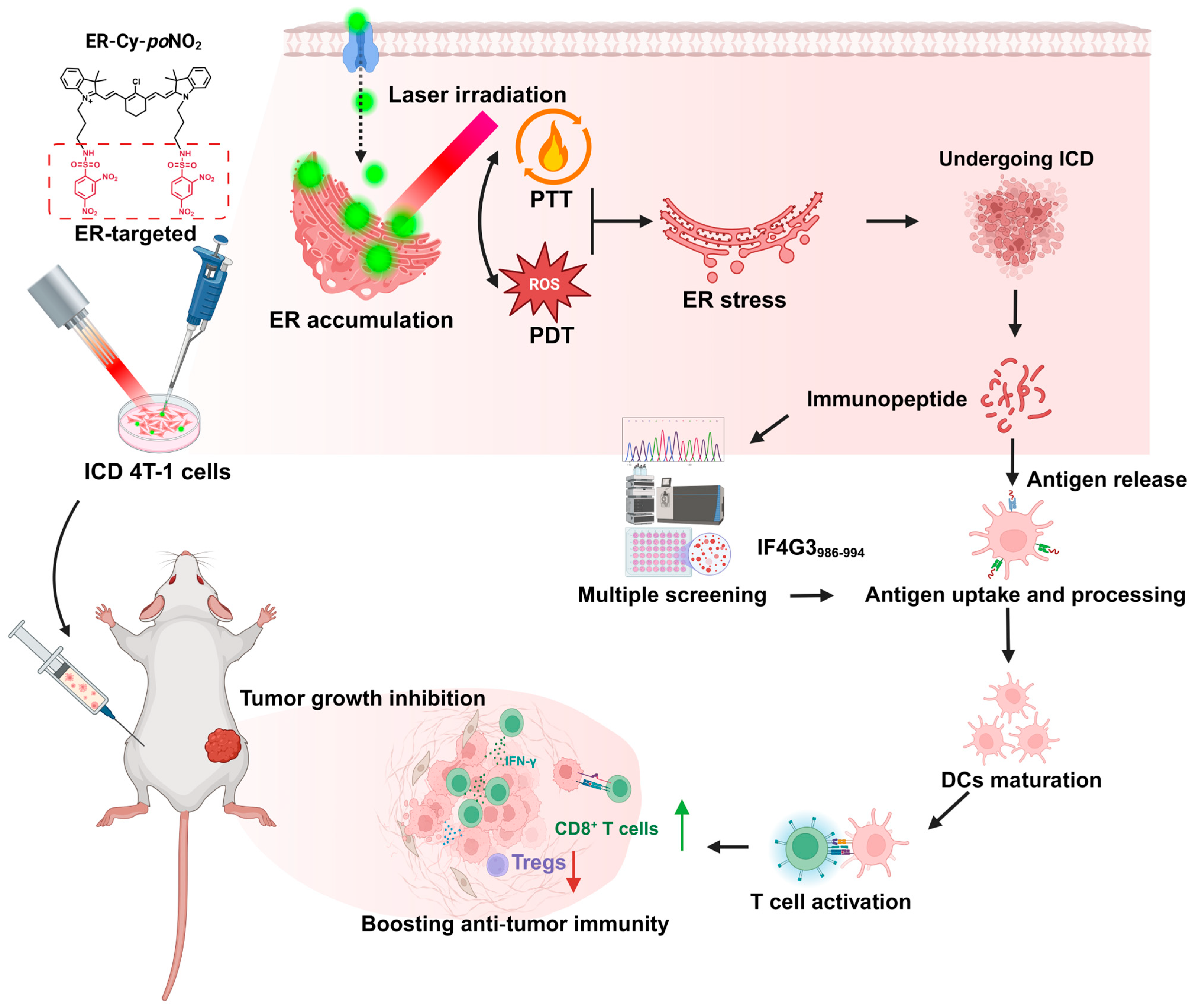 Pharmaceuticals 18 00491 g001