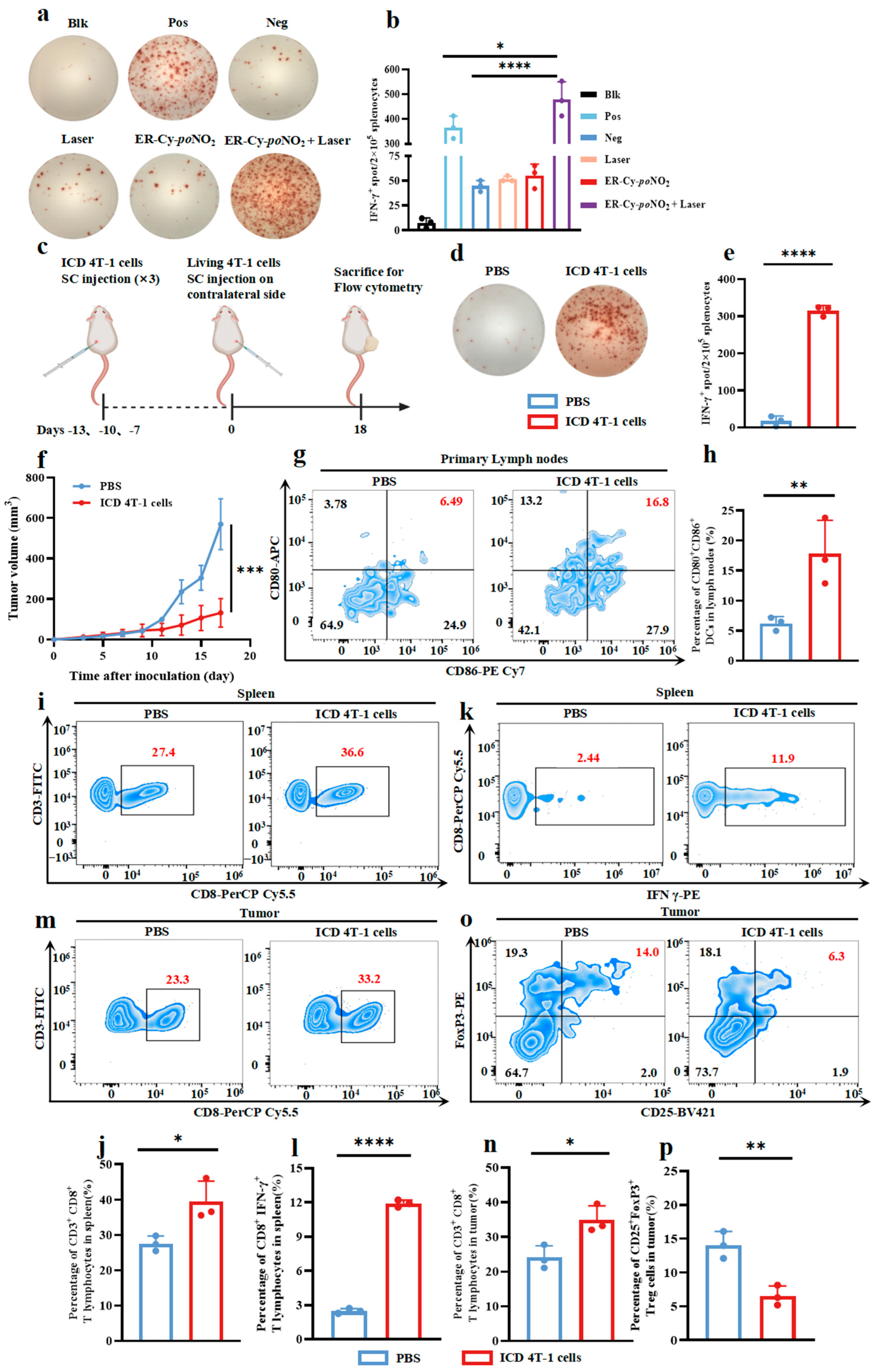 Pharmaceuticals 18 00491 g002