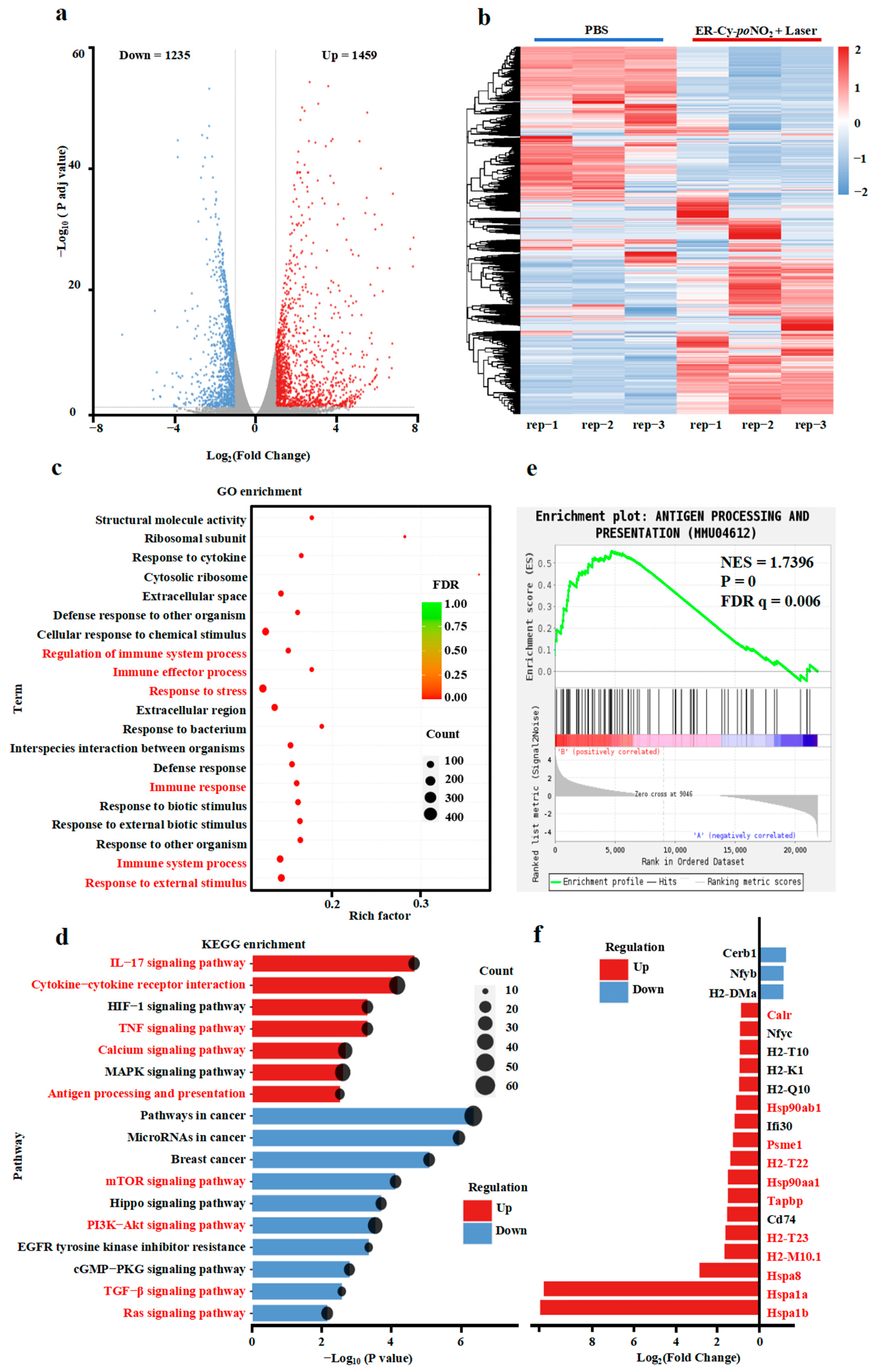 Pharmaceuticals 18 00491 g004