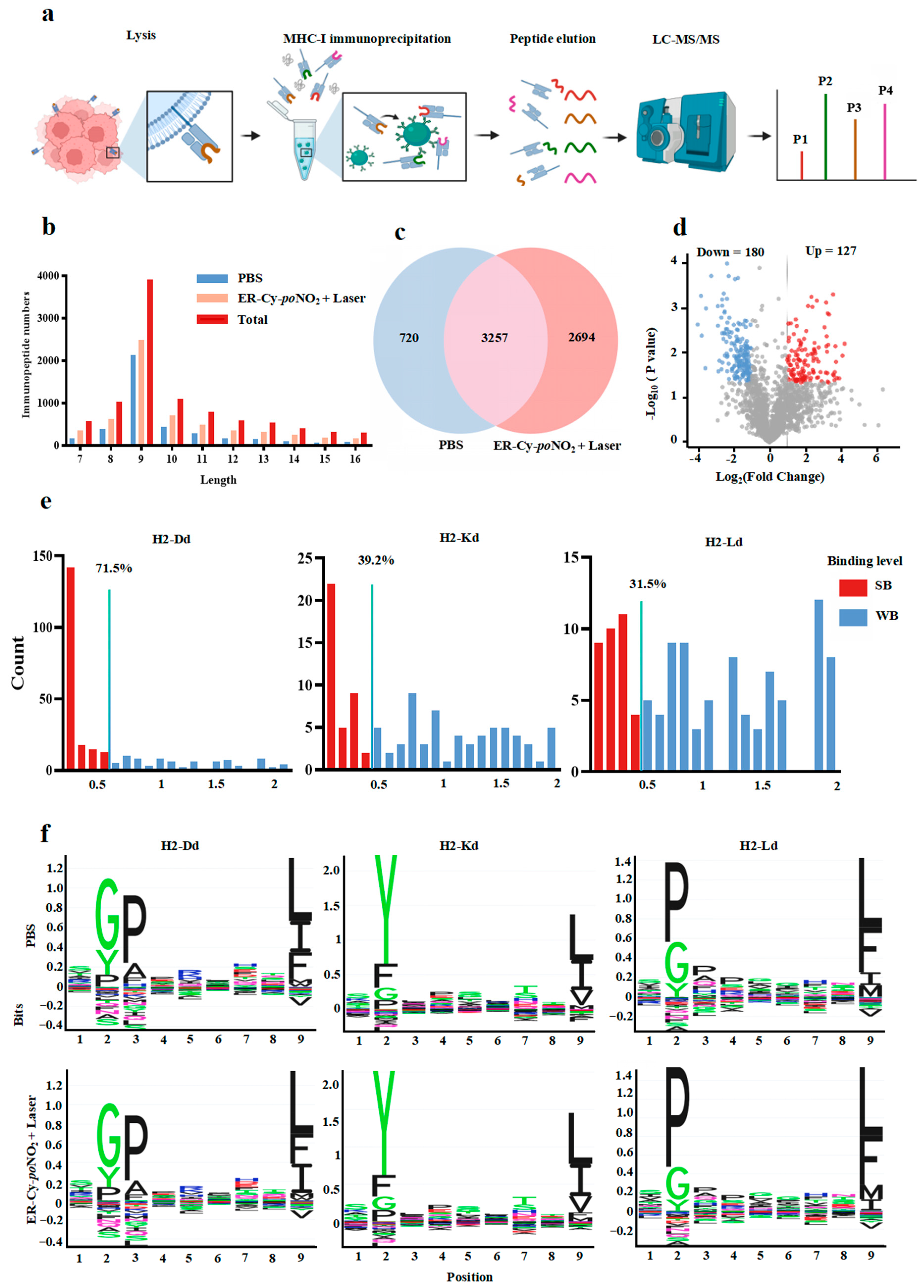 Pharmaceuticals 18 00491 g005