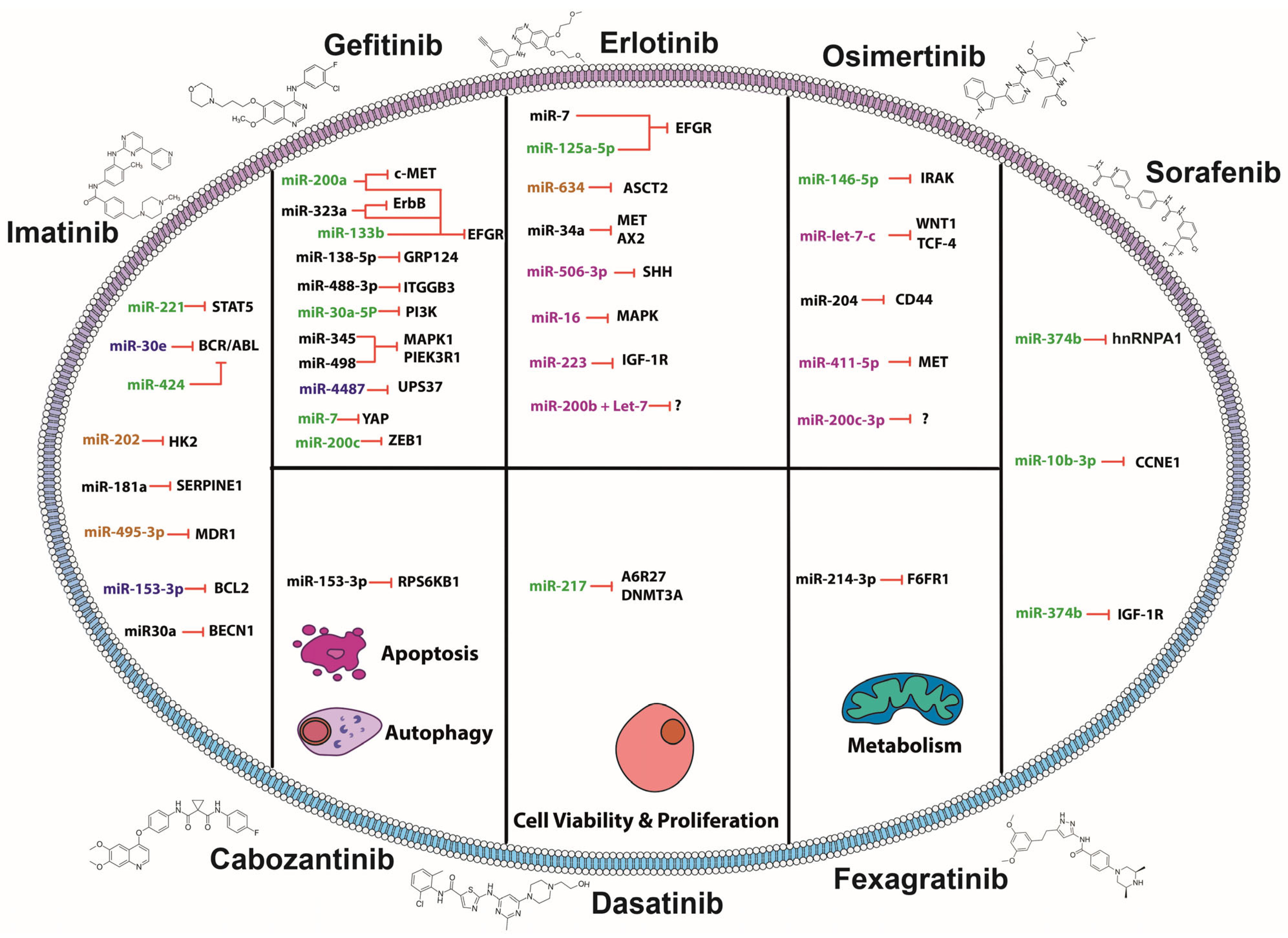 Pharmaceuticals 18 00492 g001