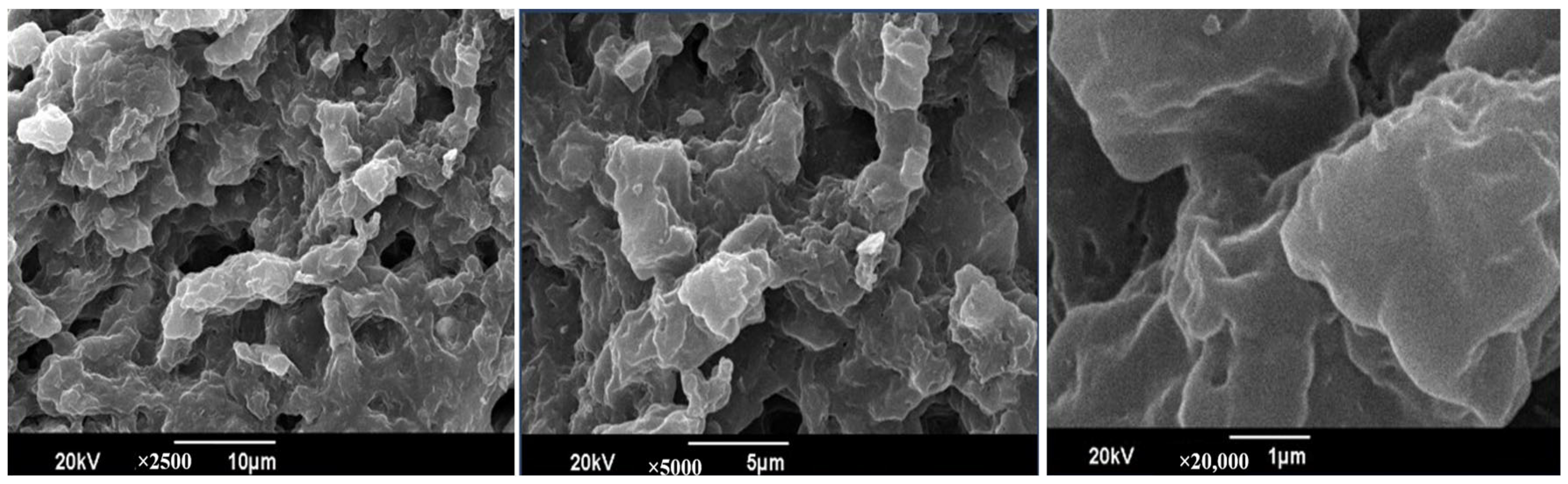 Pharmaceuticals 18 00506 g003