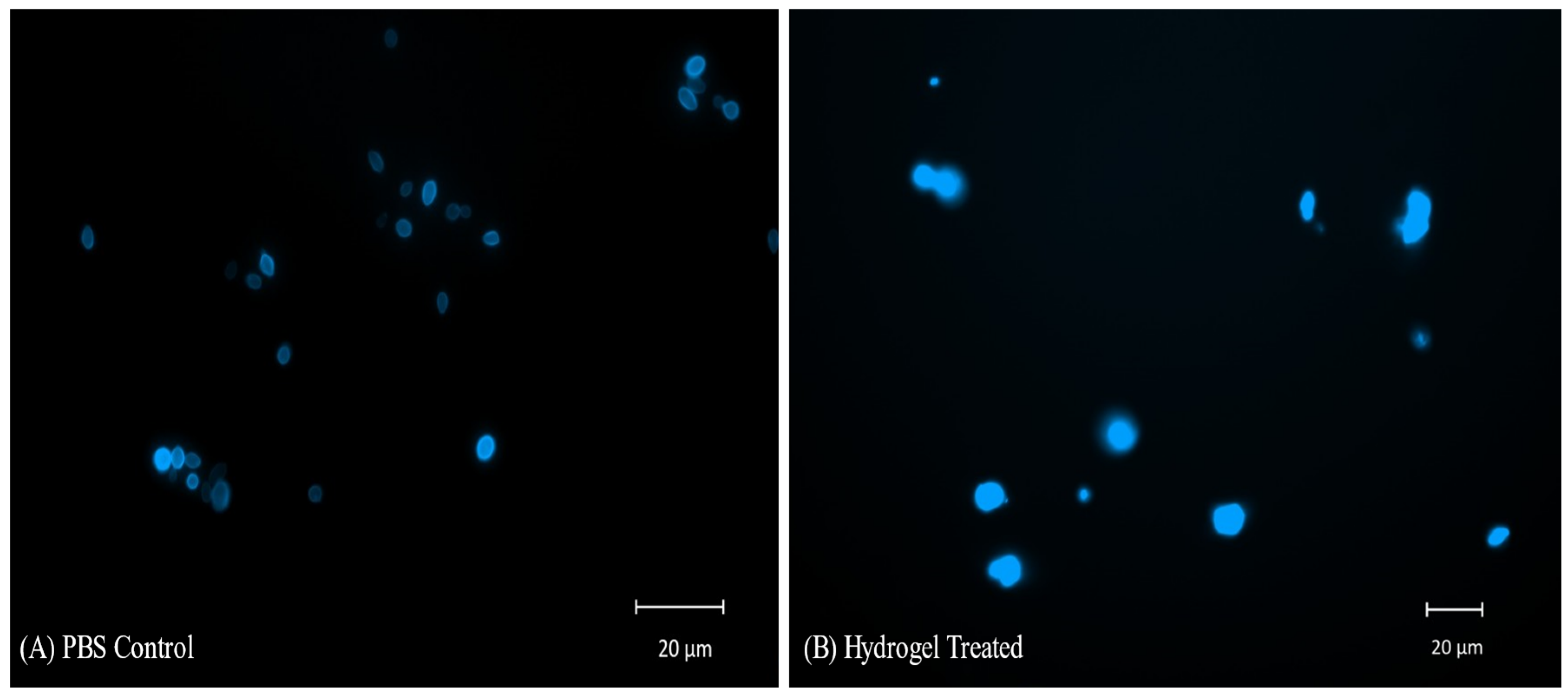 Pharmaceuticals 18 00506 g010