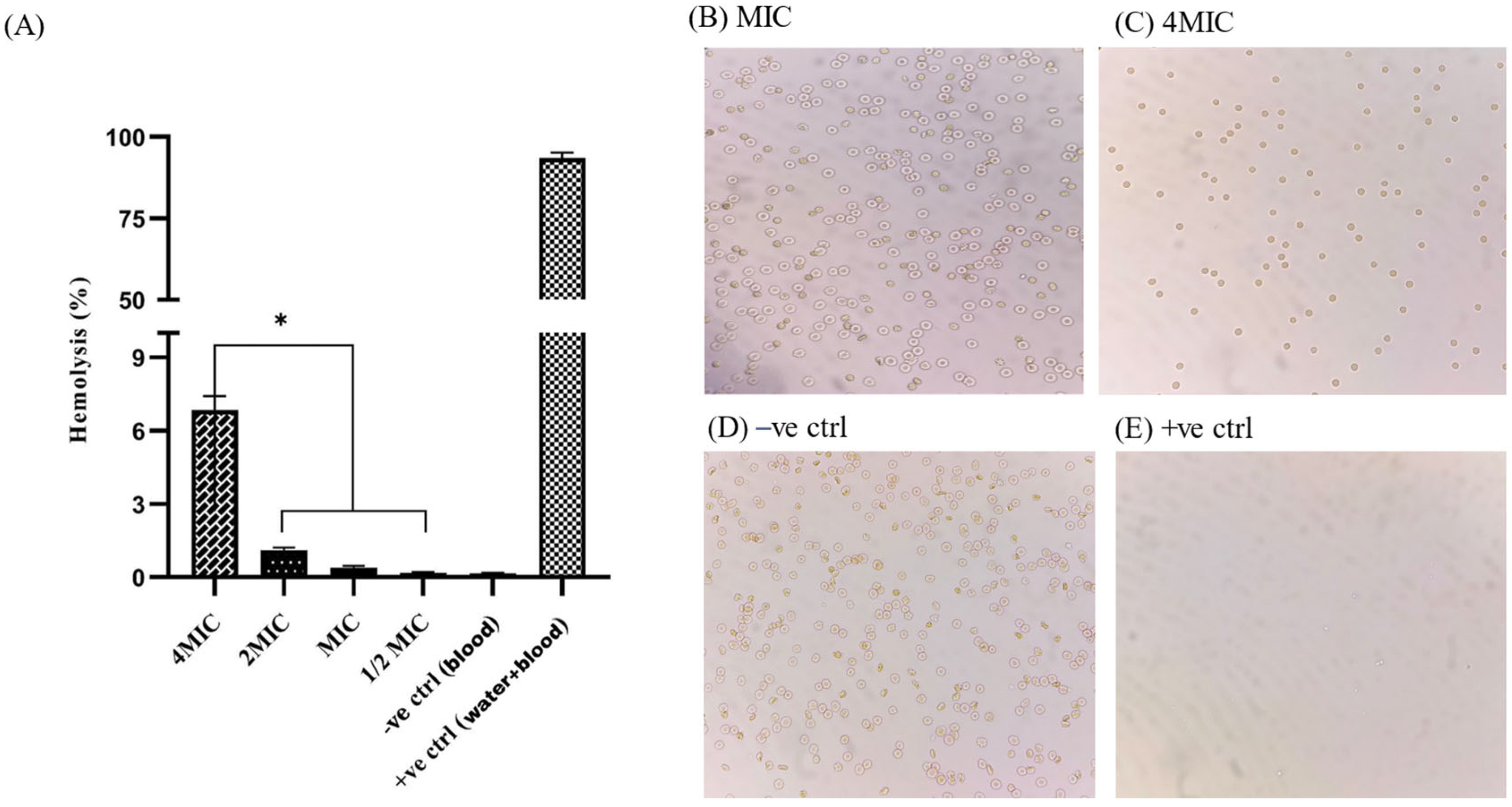 Pharmaceuticals 18 00506 g011