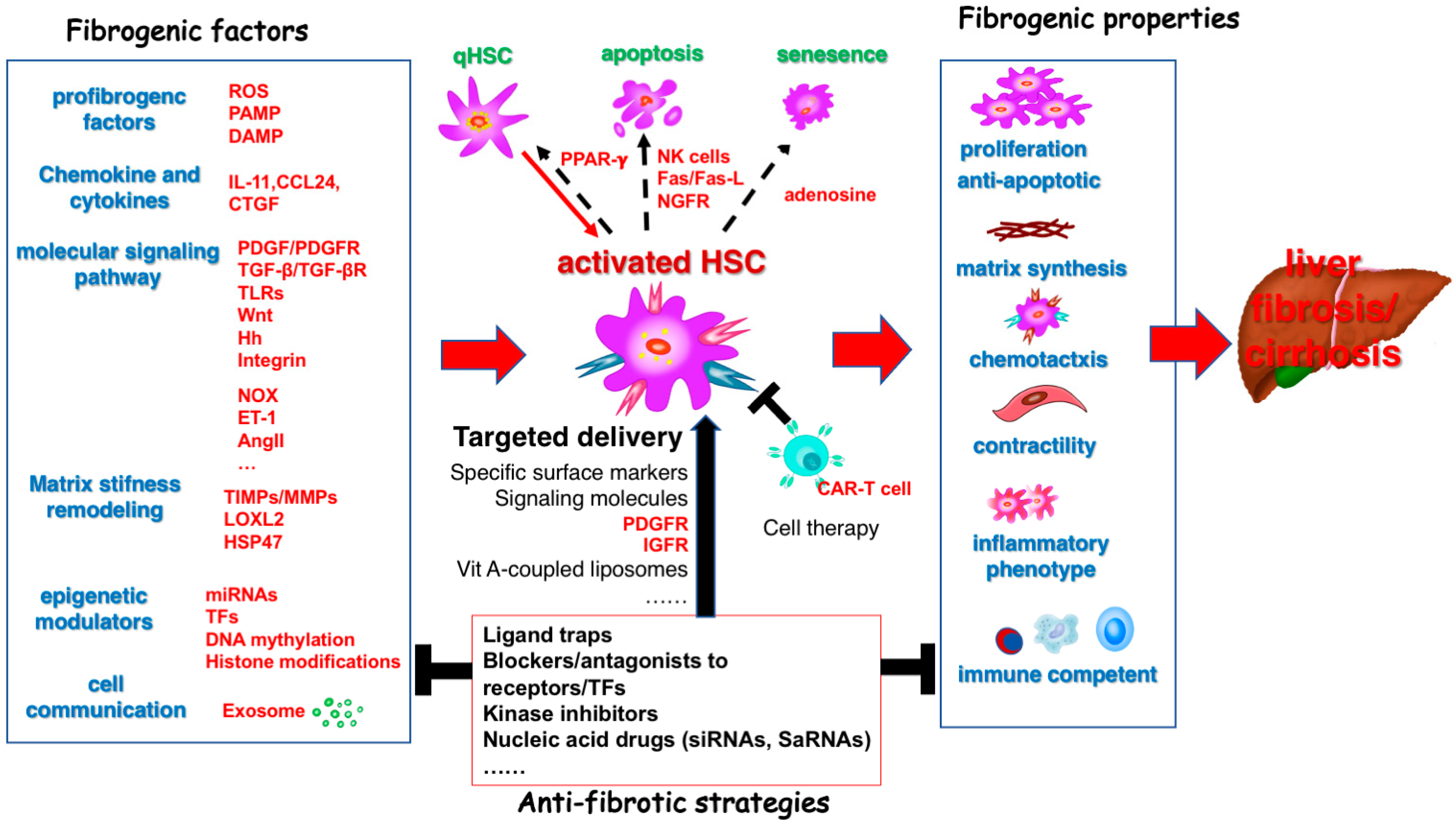 Pharmaceuticals 18 00507 g001 Pharmaceuticals 18 00507 g001