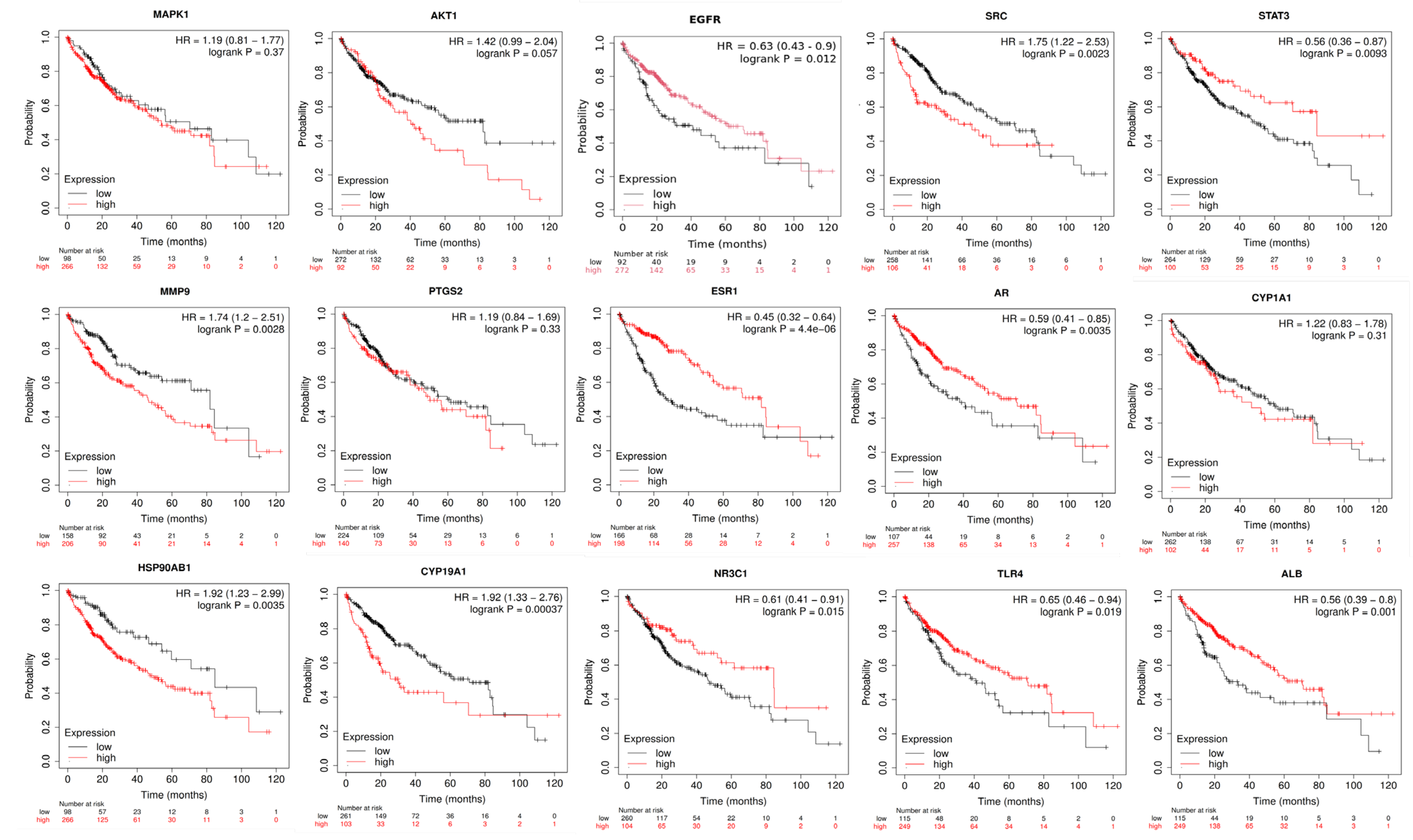 Pharmaceuticals 18 00508 g013 Pharmaceuticals 18 00508 g013
