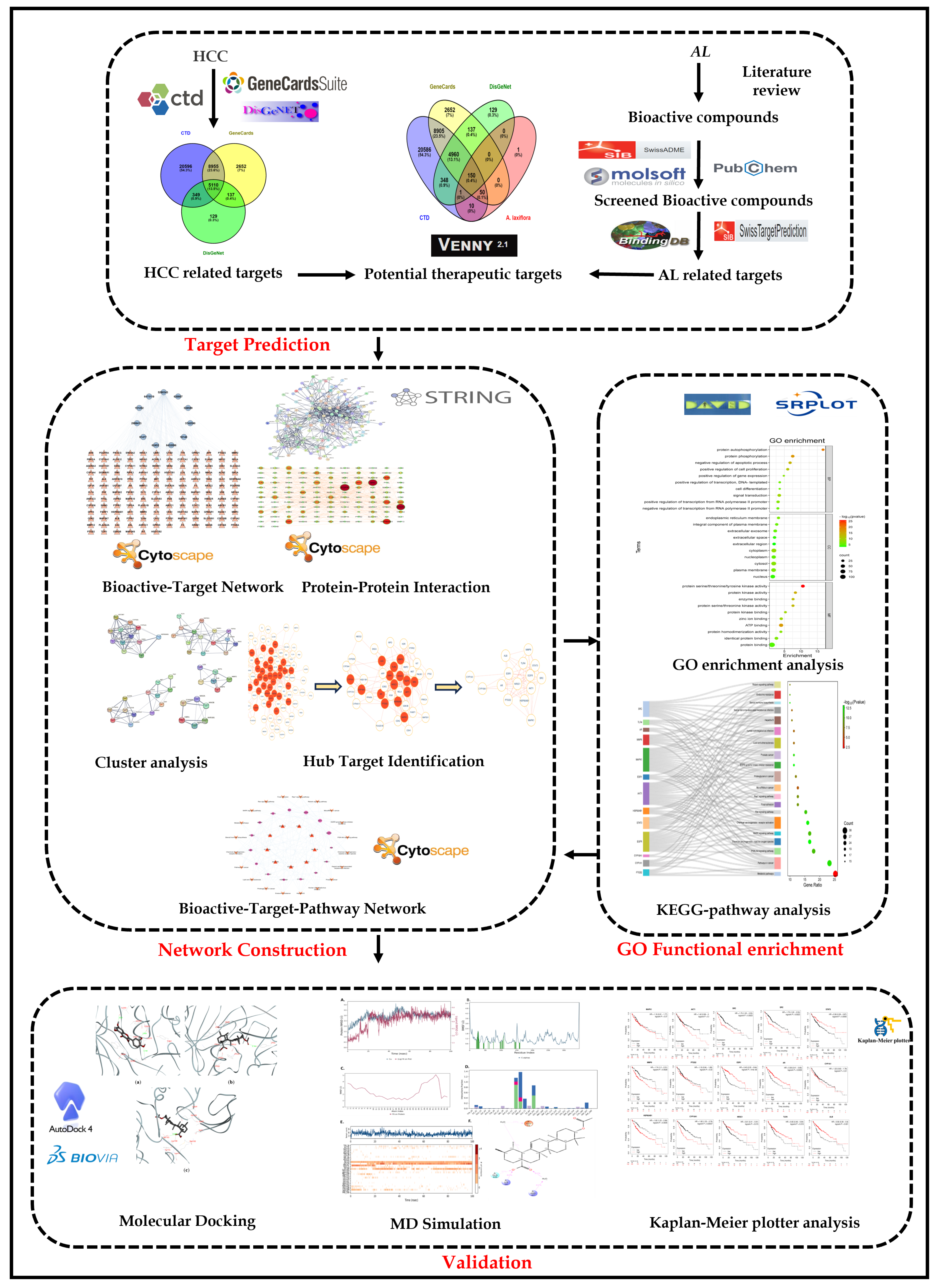 Pharmaceuticals 18 00508 g014 Pharmaceuticals 18 00508 g014