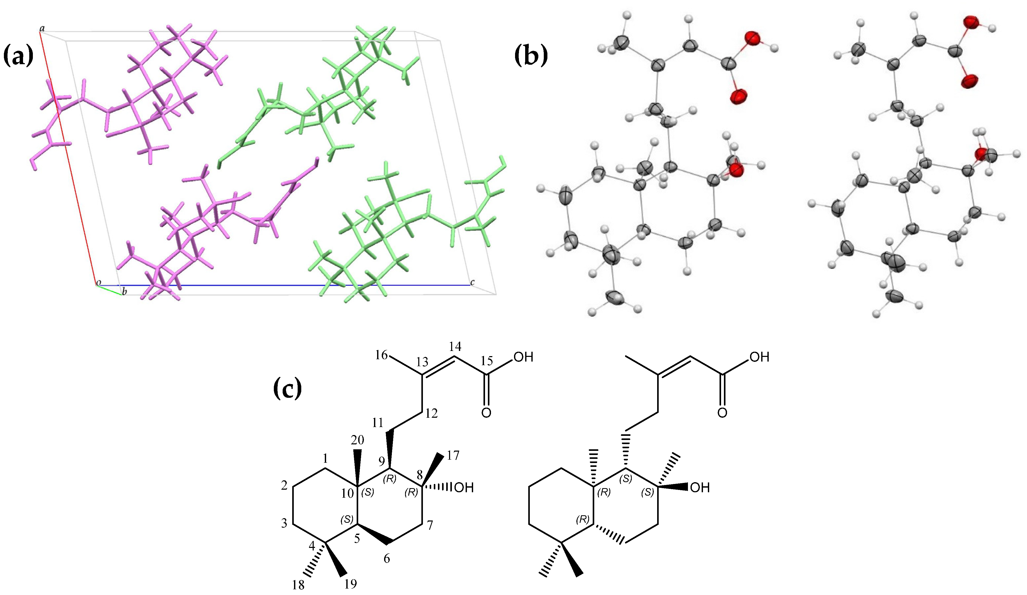 Pharmaceuticals 18 00516 g001