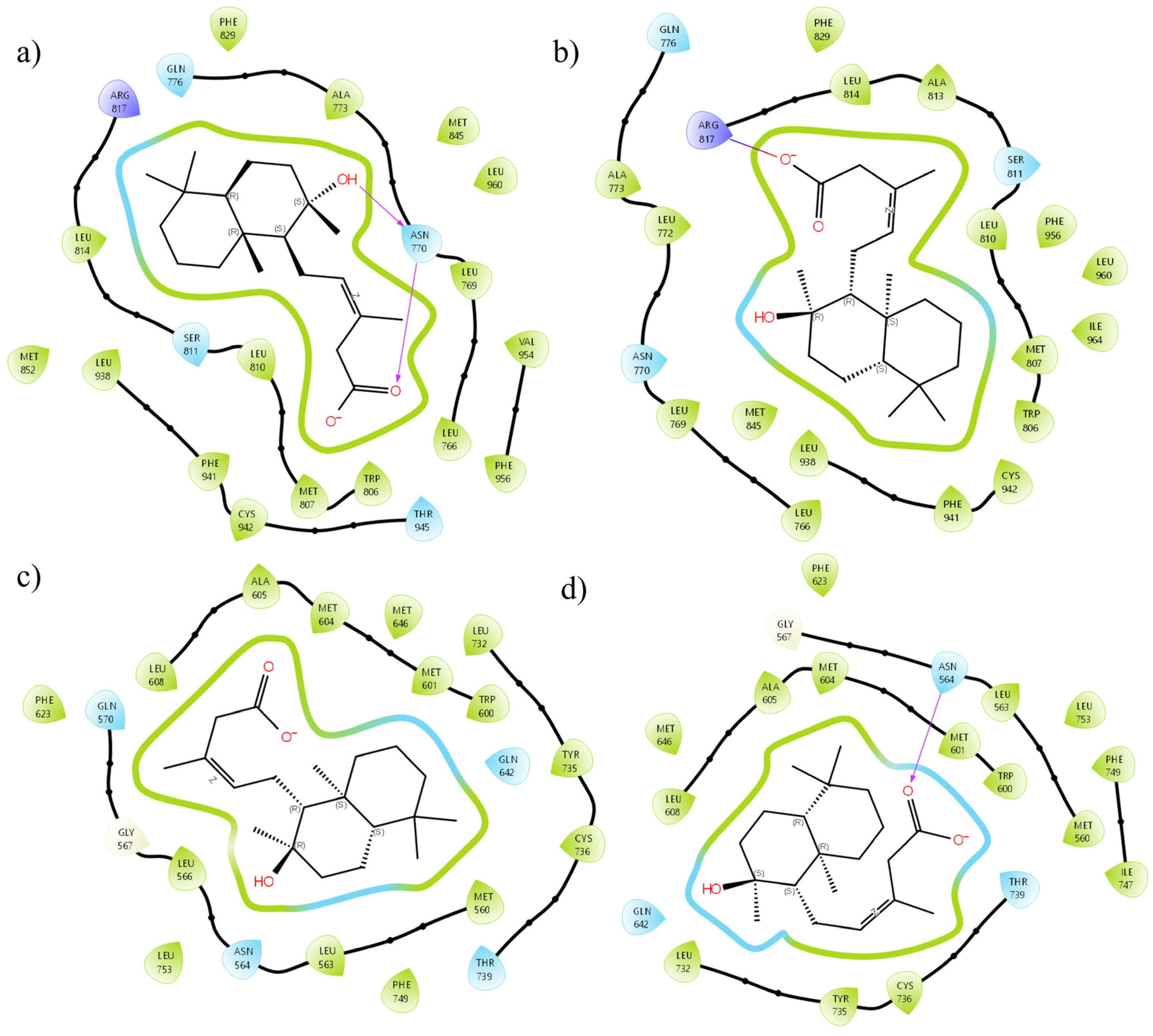 Pharmaceuticals 18 00516 g004