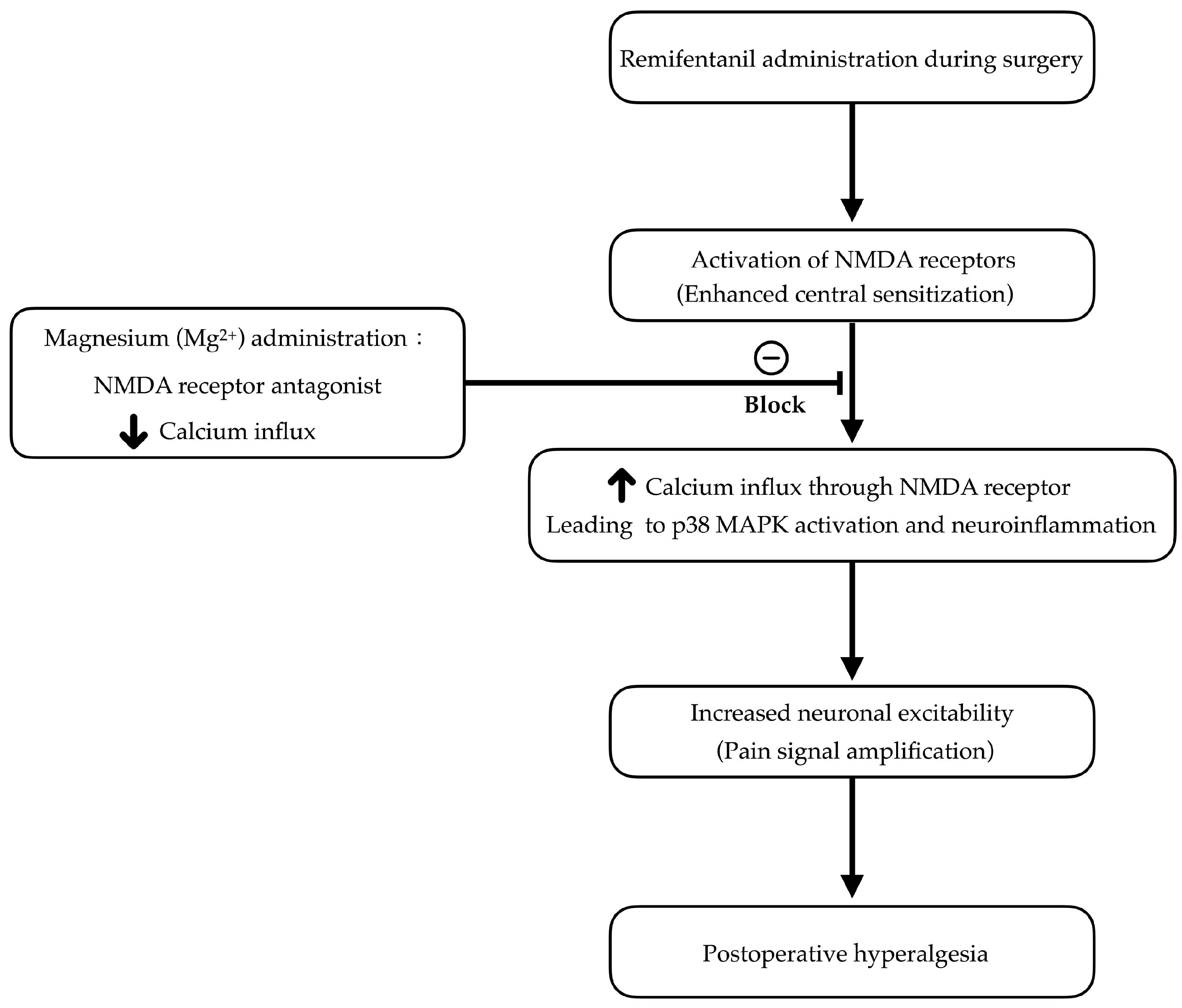 Pharmaceuticals 18 00518 g001