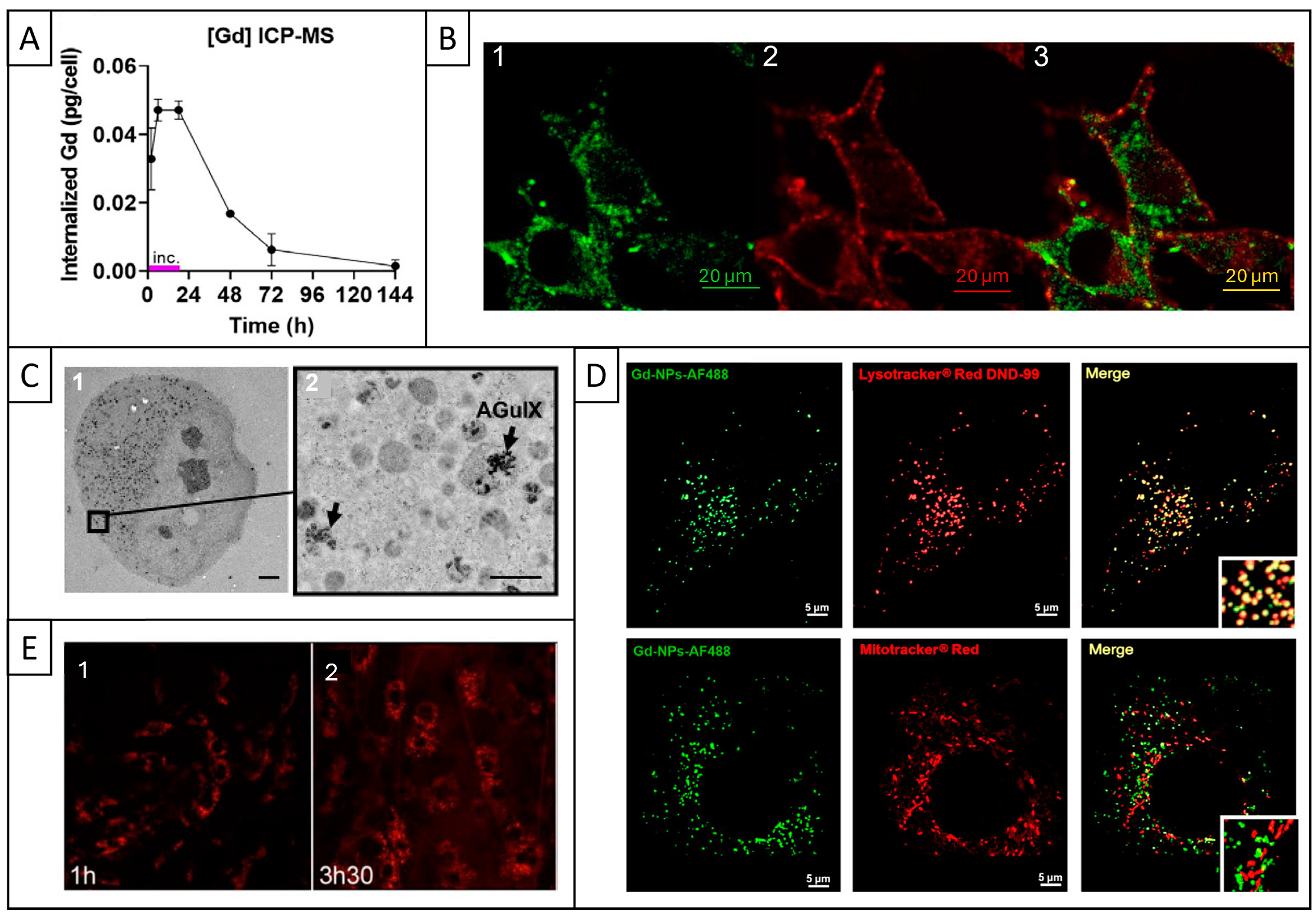 Pharmaceuticals 18 00519 g003