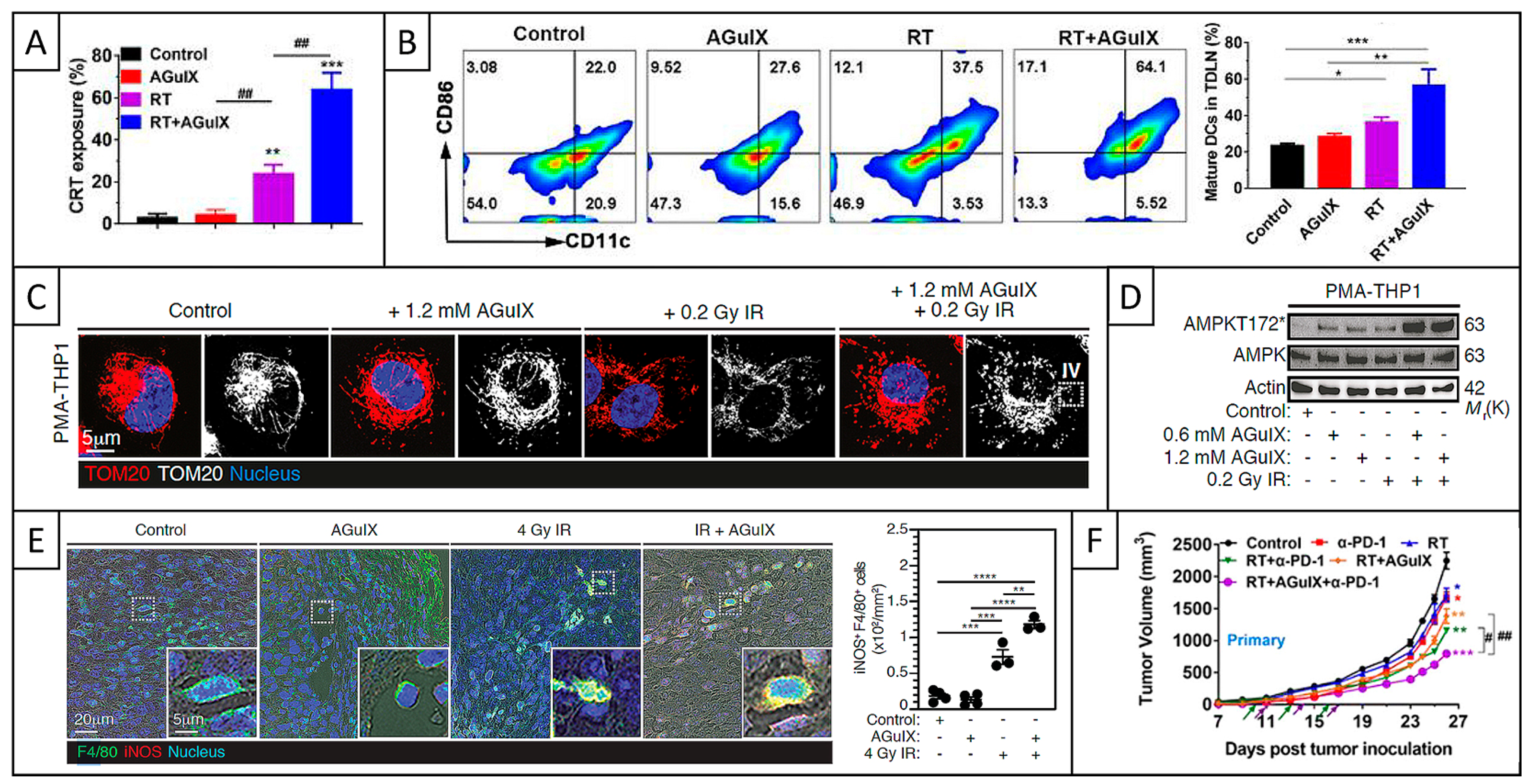 Pharmaceuticals 18 00519 g008