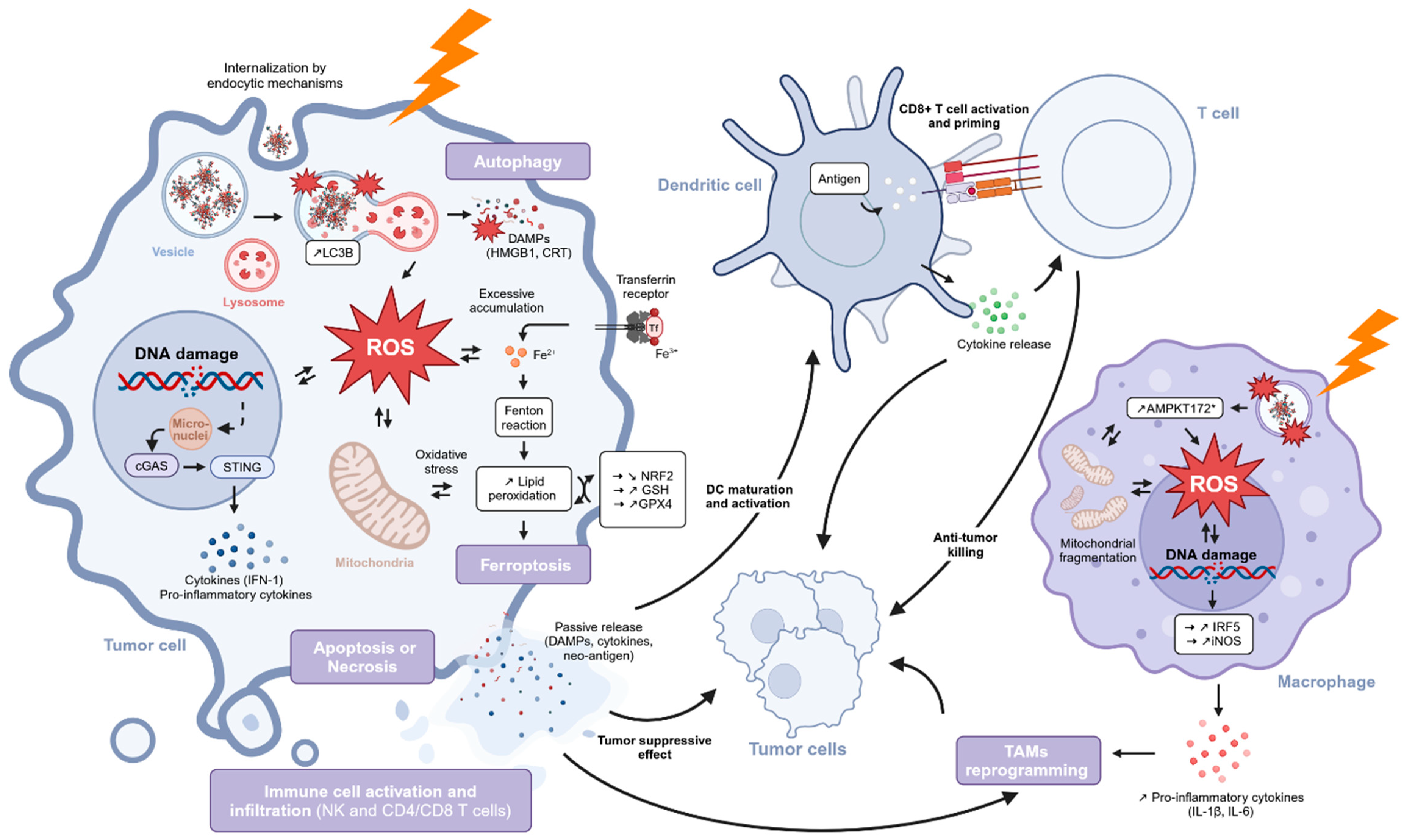 Pharmaceuticals 18 00519 g009