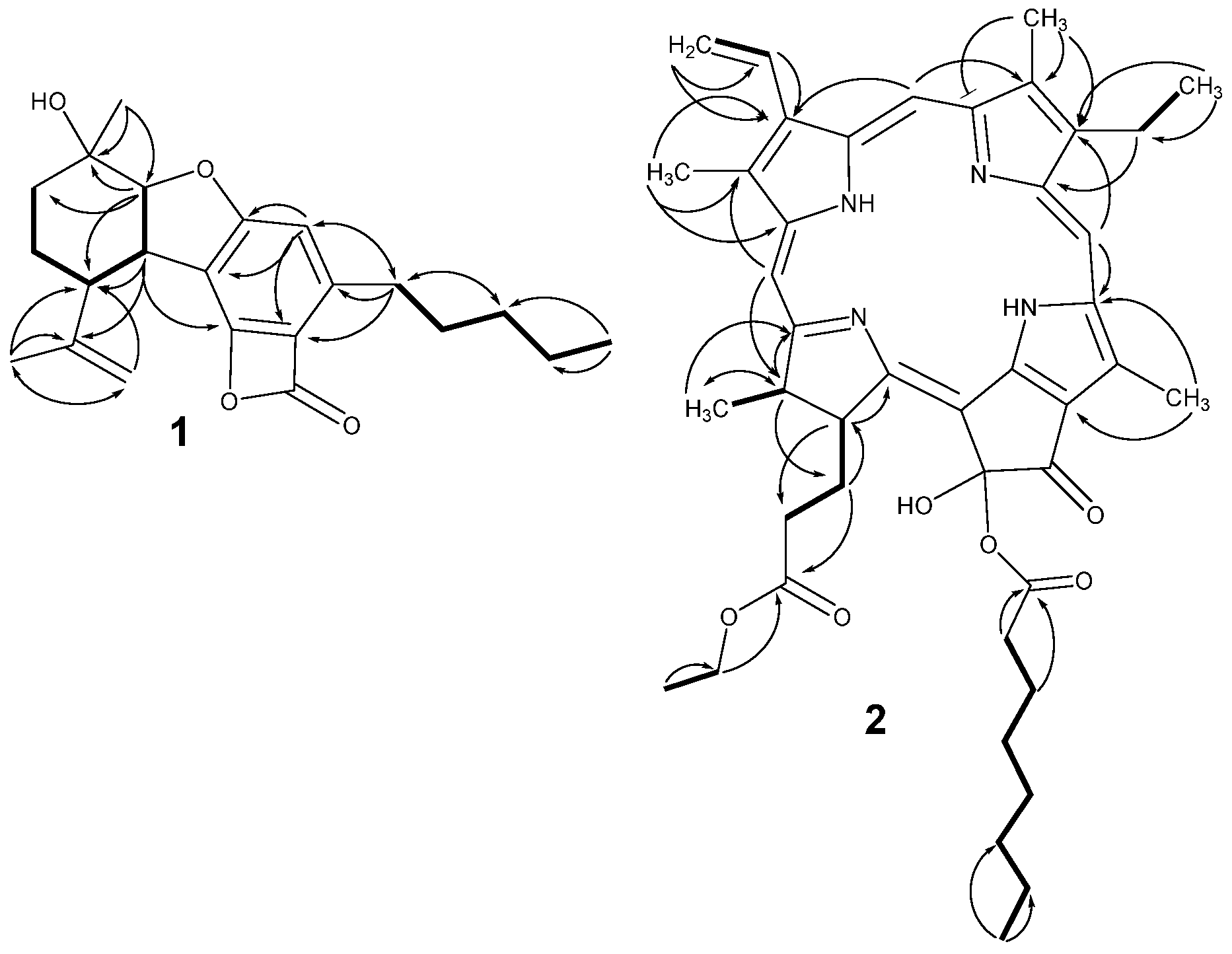 Pharmaceuticals 18 00521 g002