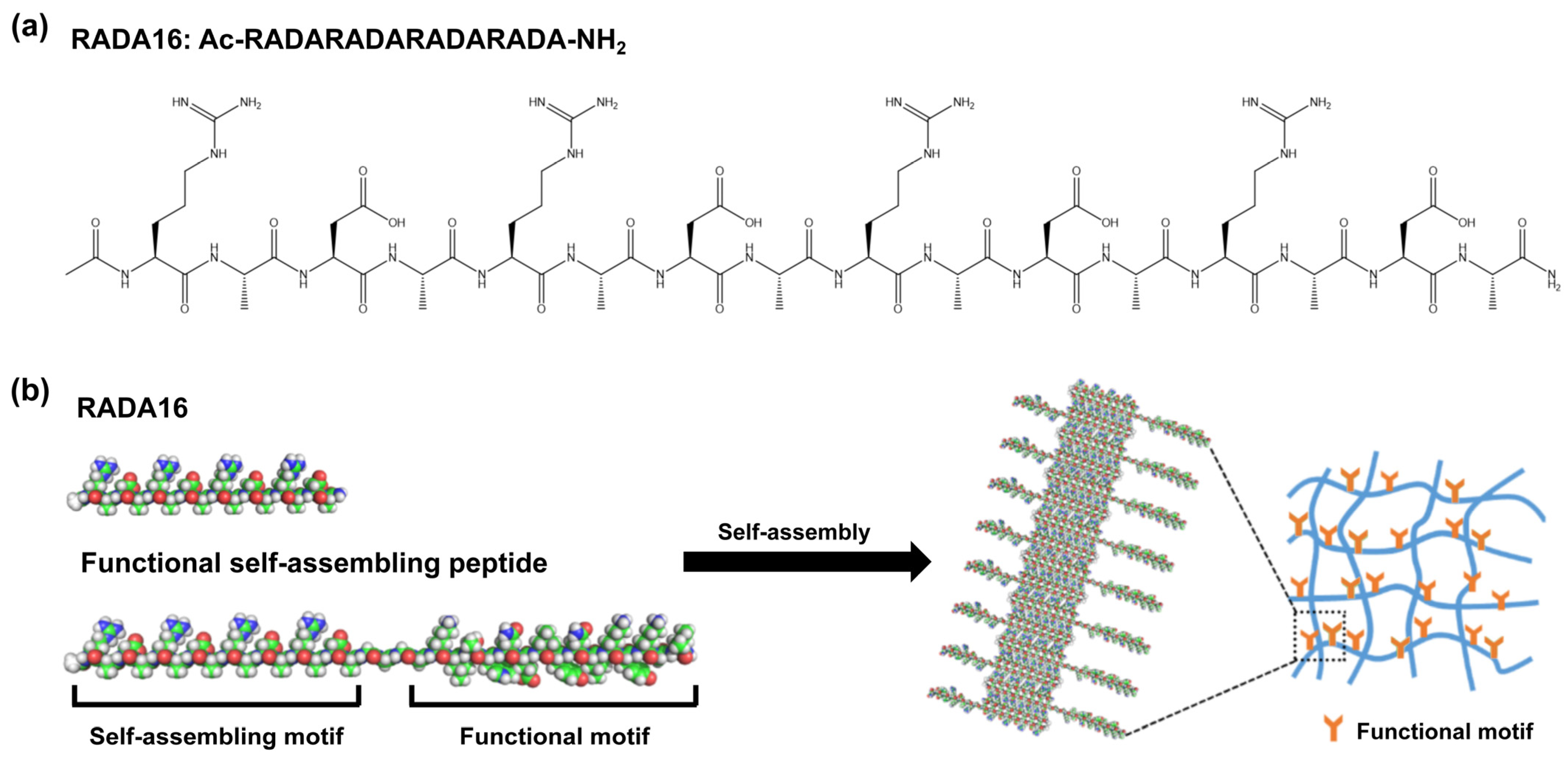Pharmaceuticals 18 00526 g001