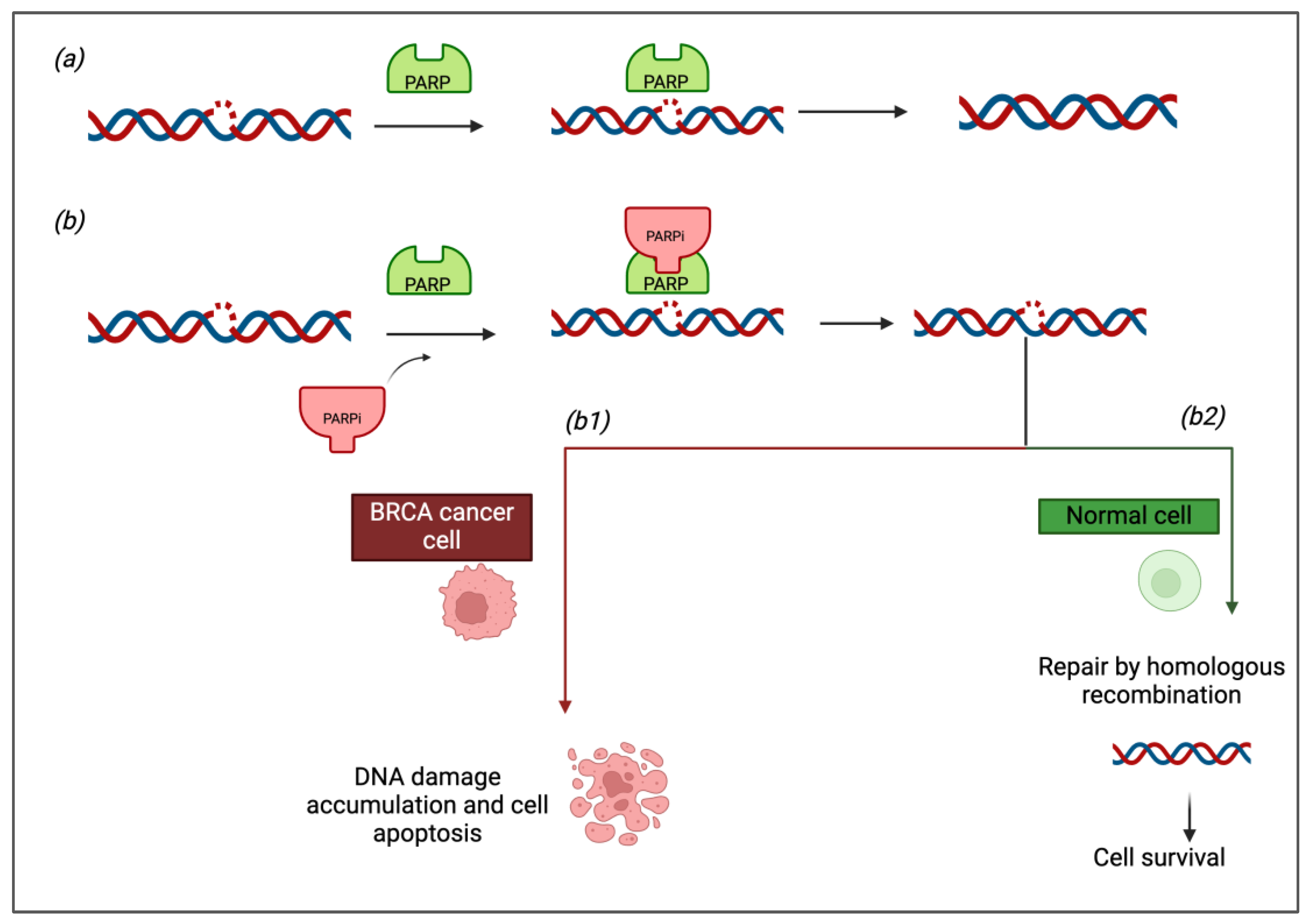 Pharmaceuticals 18 00528 g001