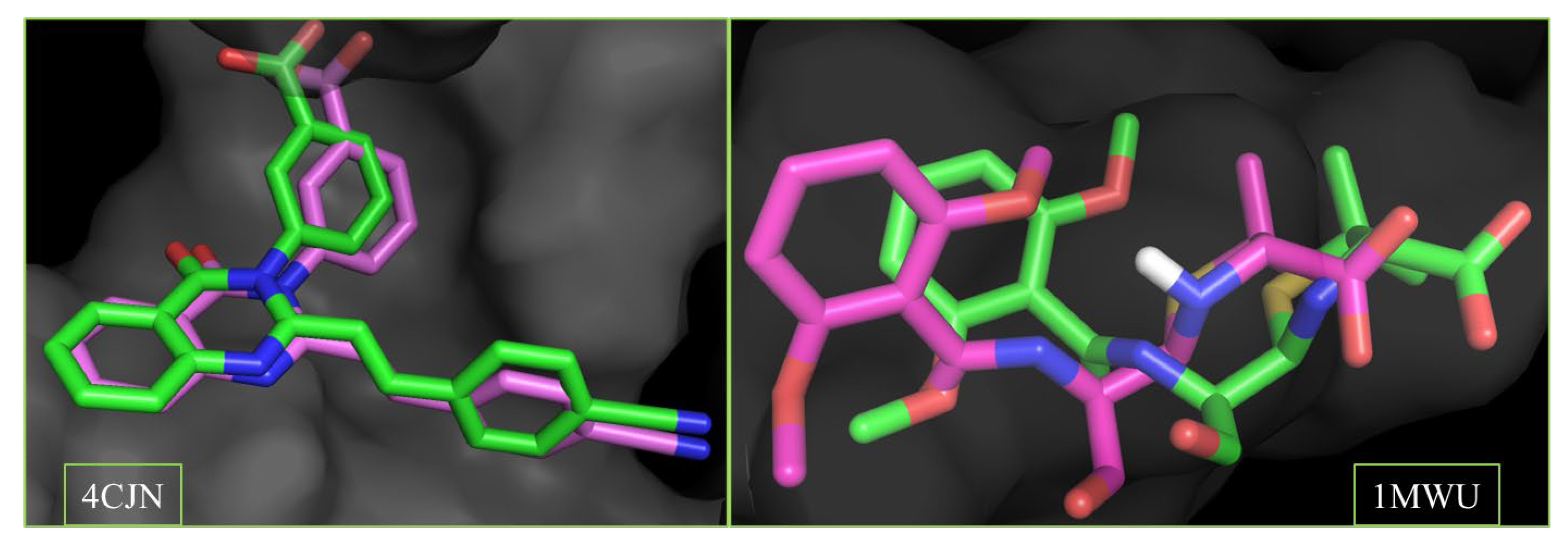Pharmaceuticals 18 00529 g004