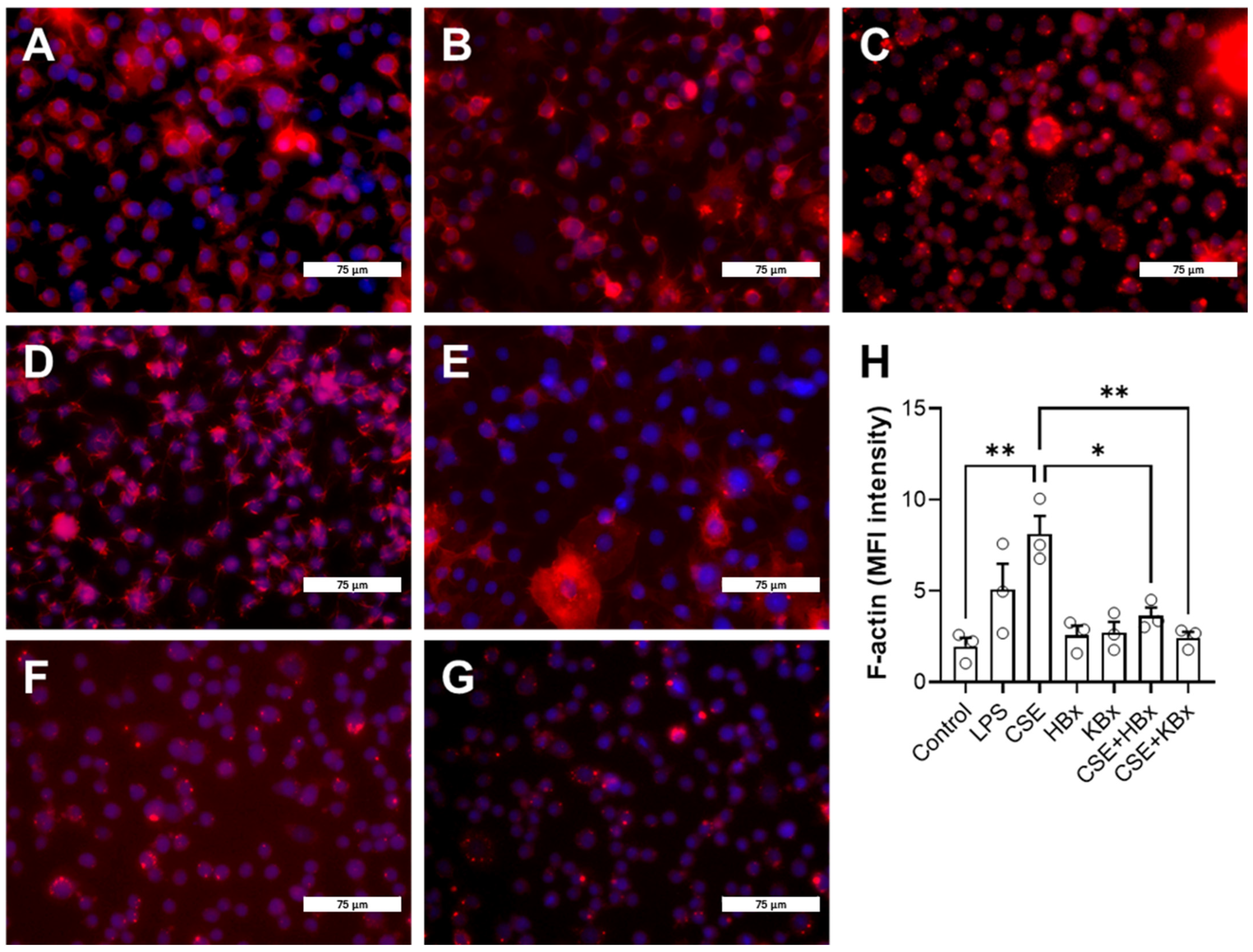 Pharmaceuticals 18 00530 g007