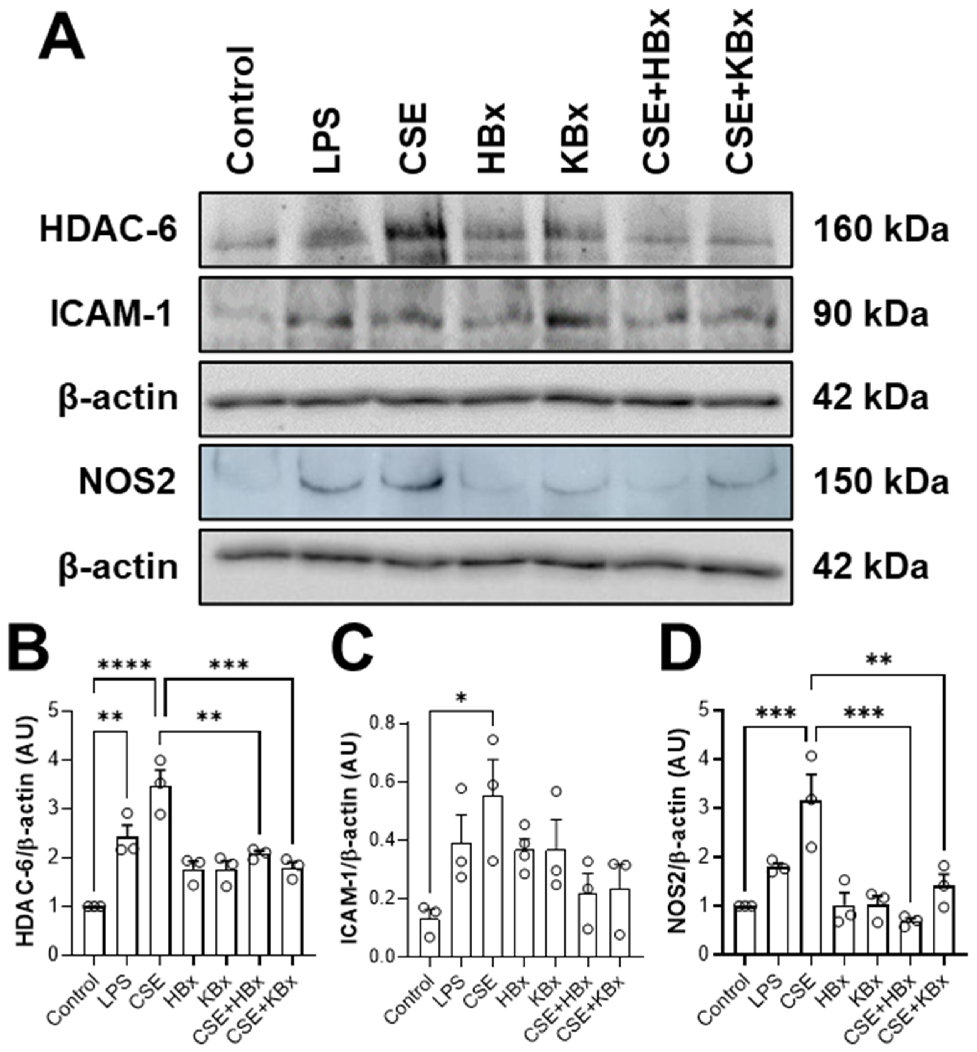 Pharmaceuticals 18 00530 g009
