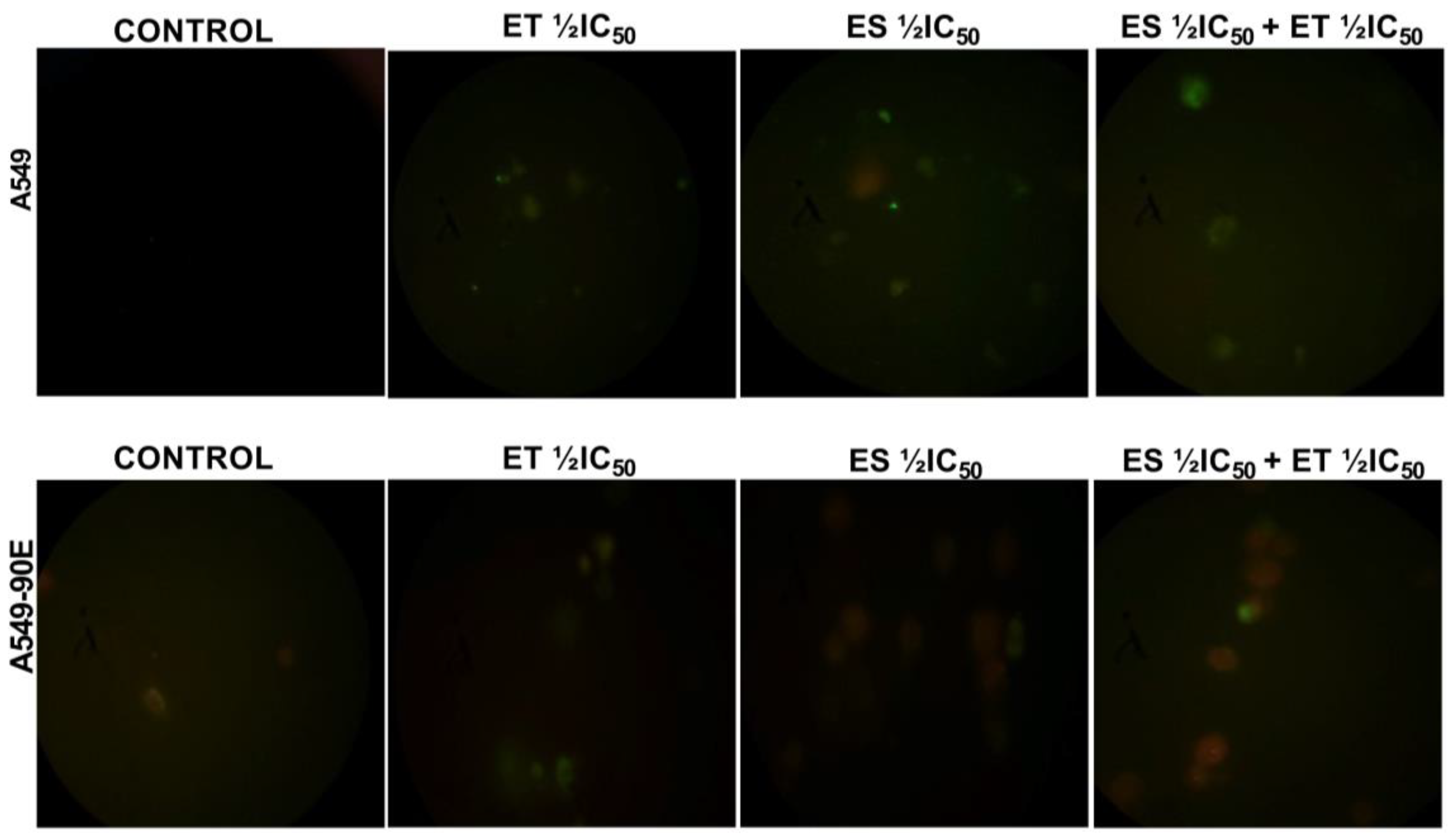 Pharmaceuticals 18 00531 g006