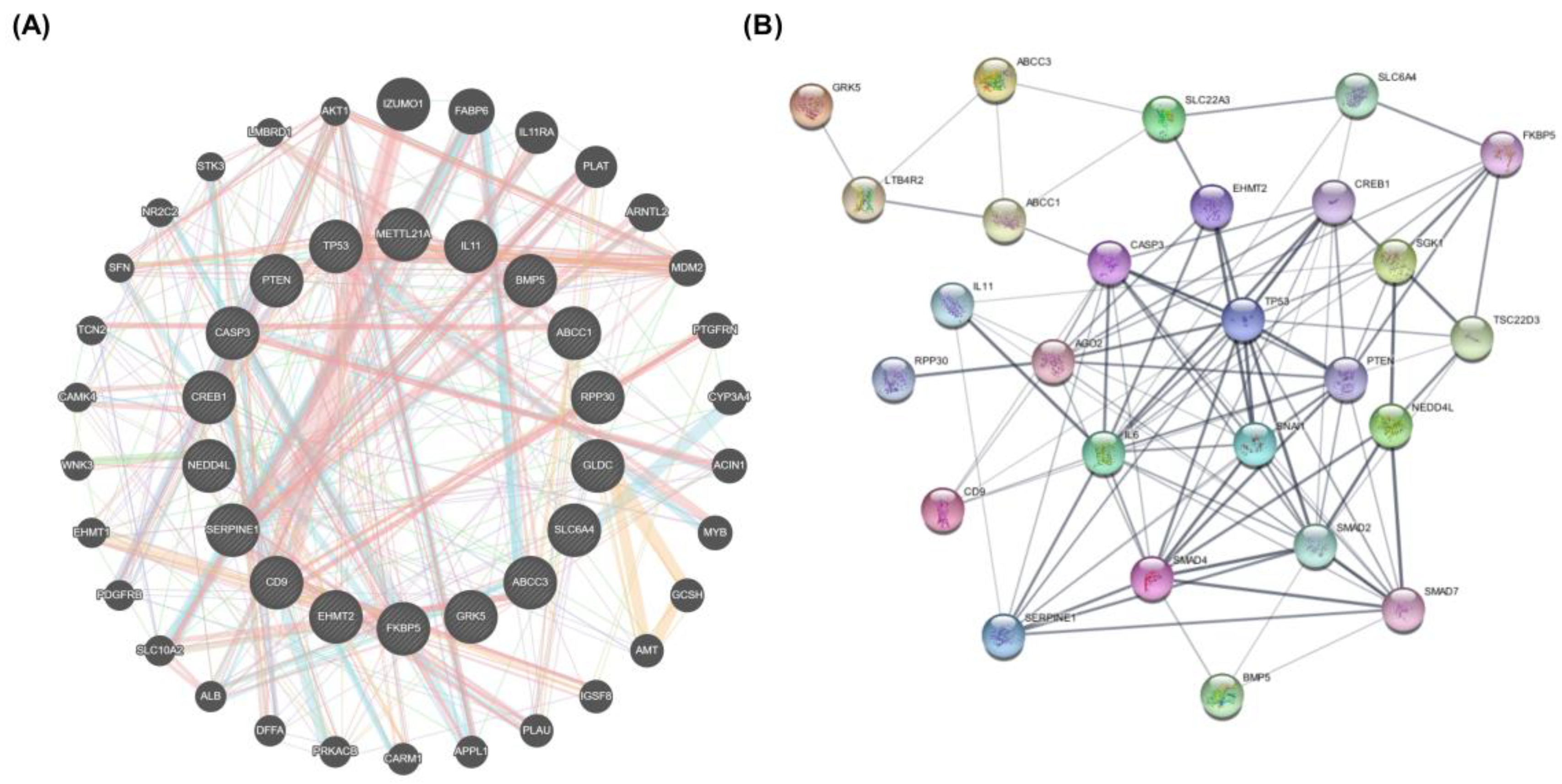 Pharmaceuticals 18 00531 g009