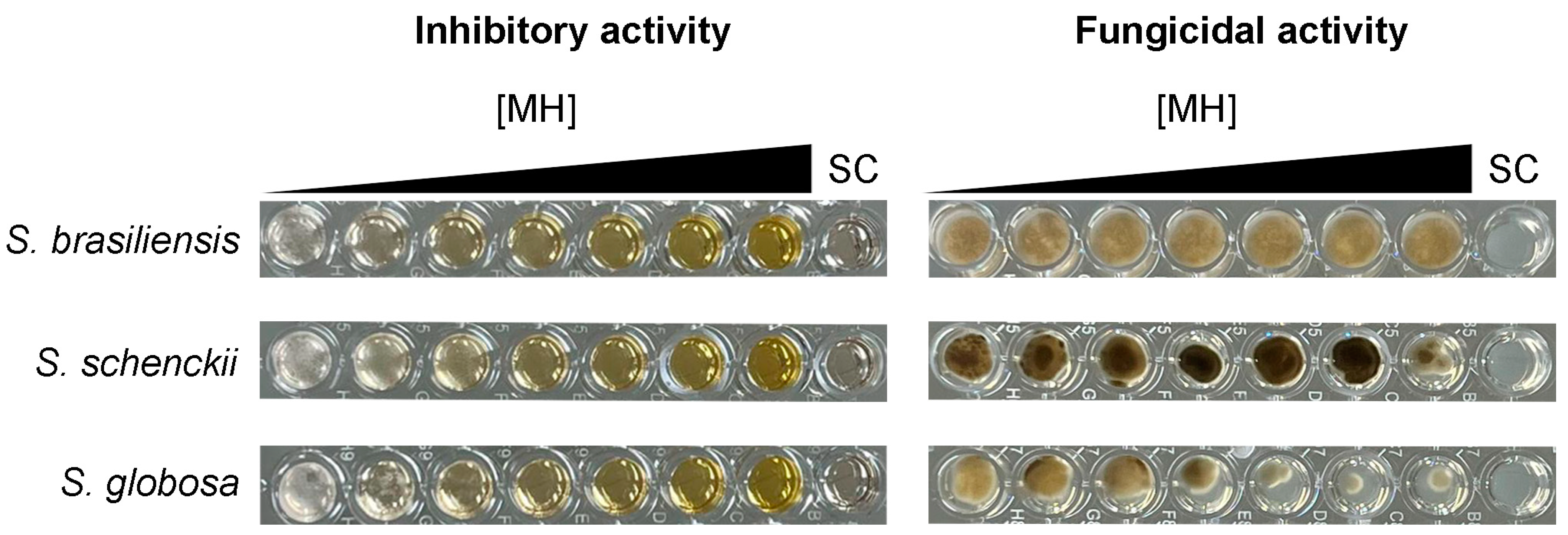 Pharmaceuticals 18 00534 g002