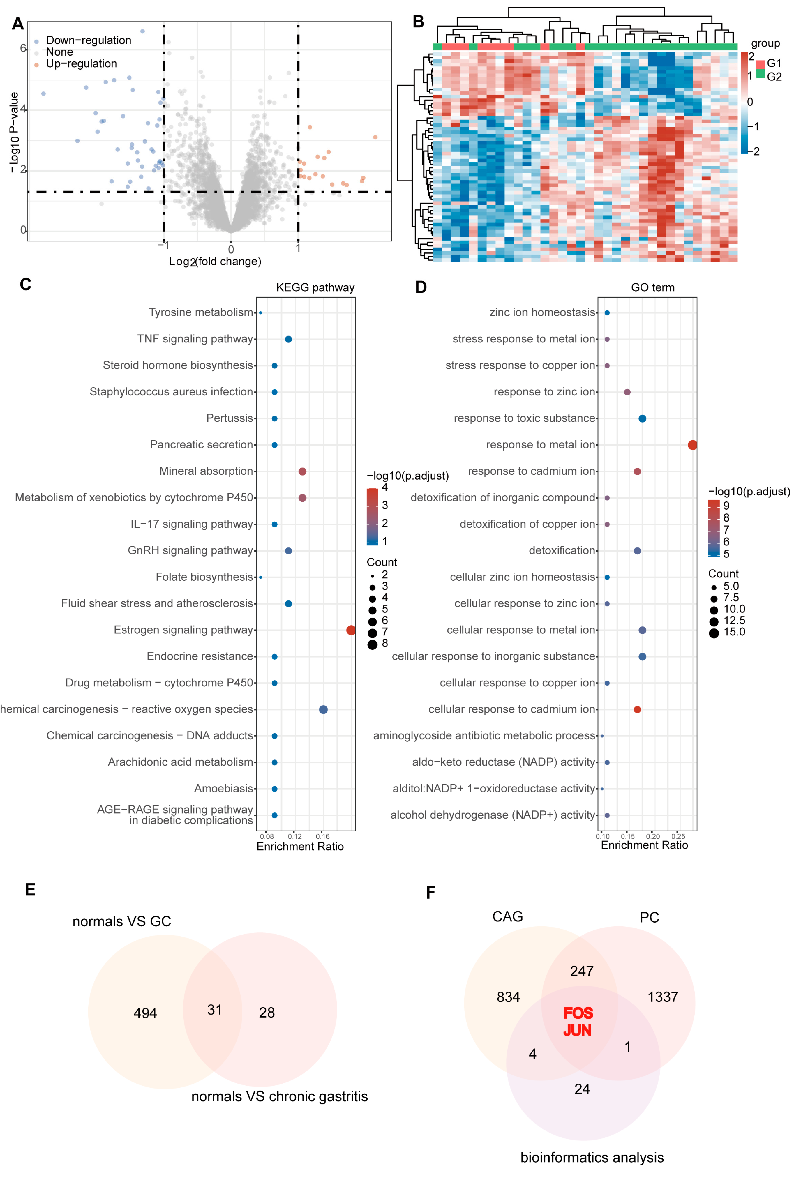 Pharmaceuticals 18 00537 g003