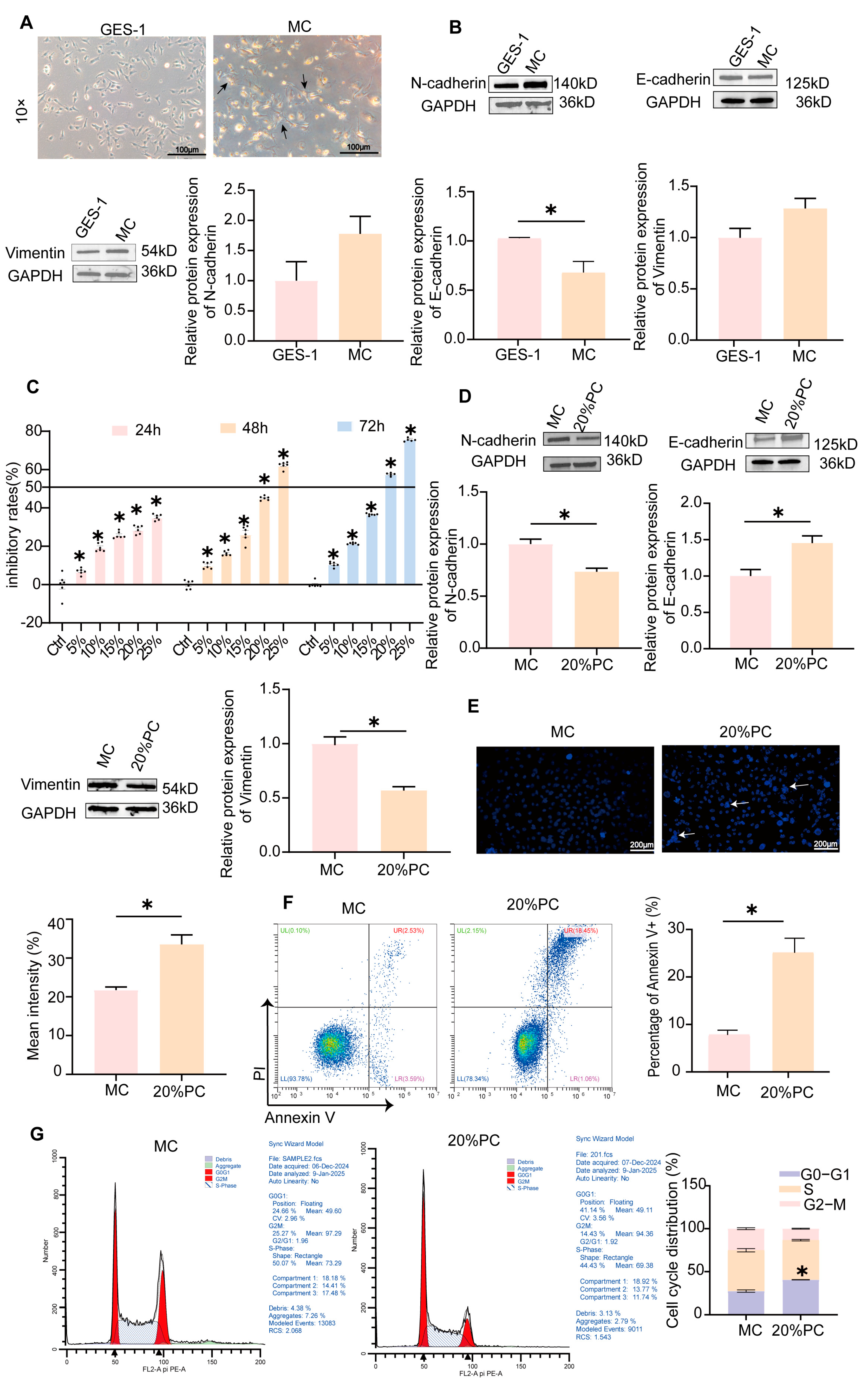 Pharmaceuticals 18 00537 g004
