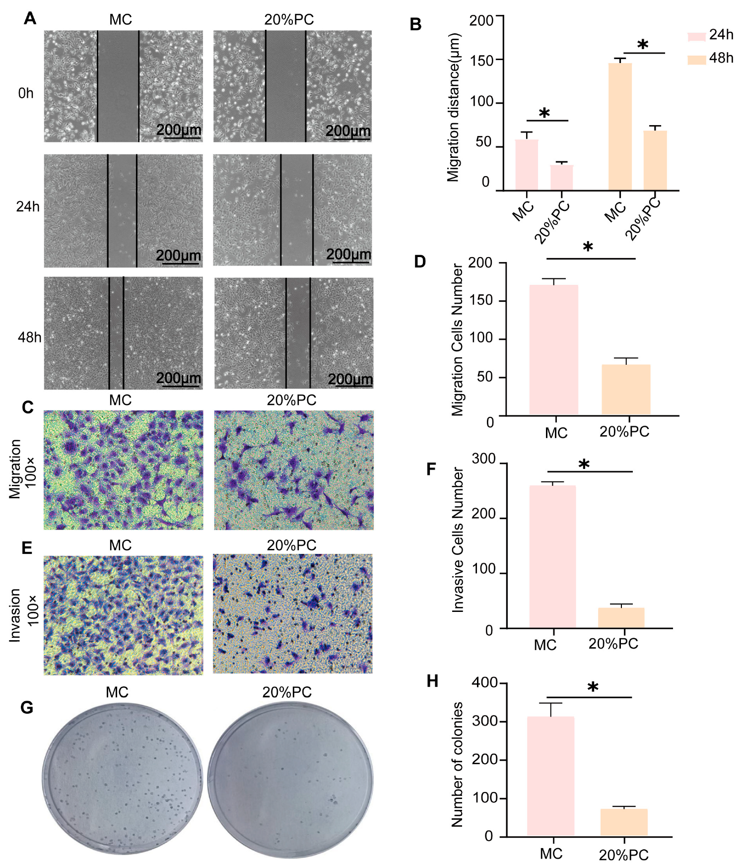 Pharmaceuticals 18 00537 g005