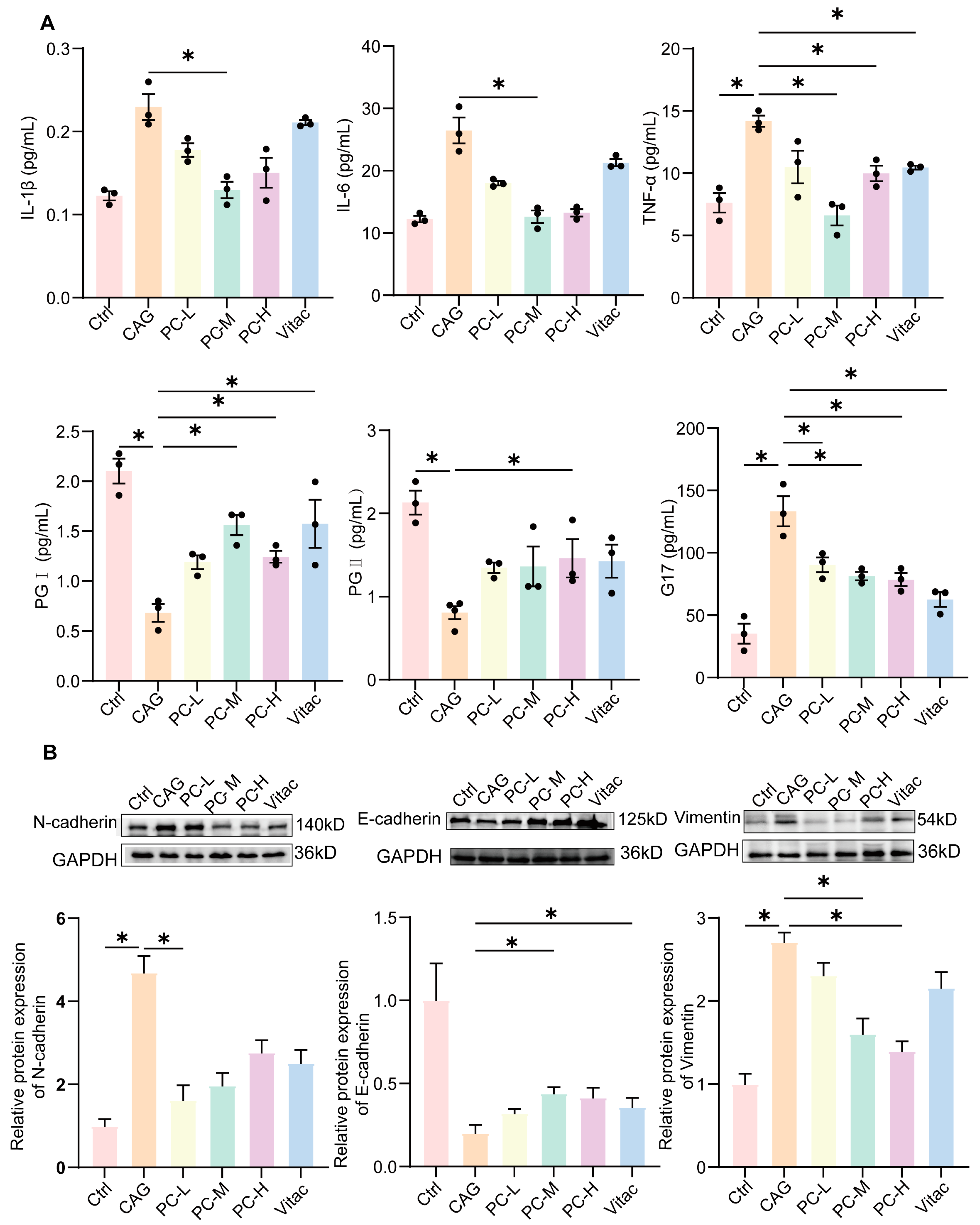 Pharmaceuticals 18 00537 g007