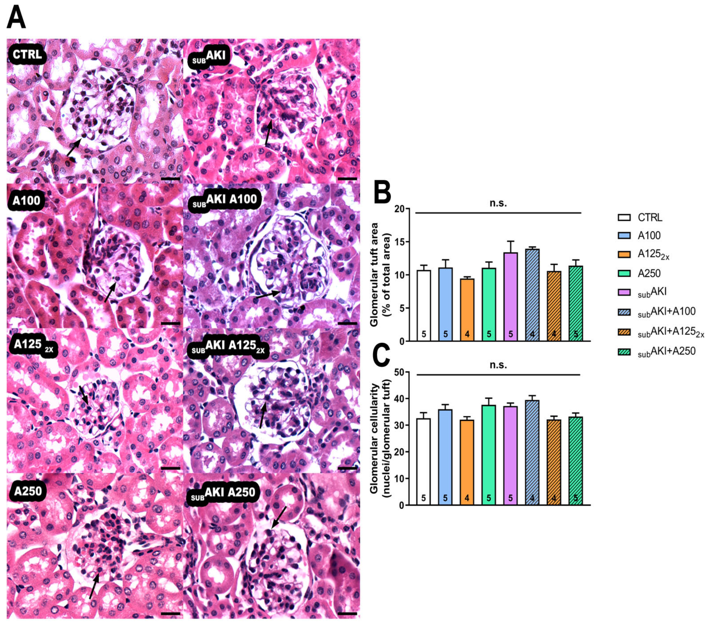 Pharmaceuticals 18 00541 g002
