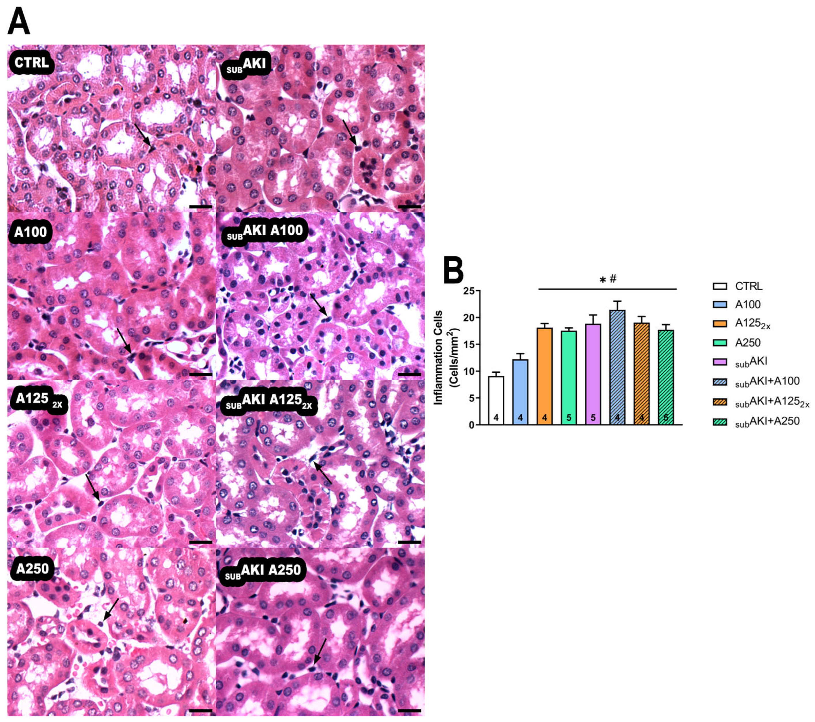 Pharmaceuticals 18 00541 g004