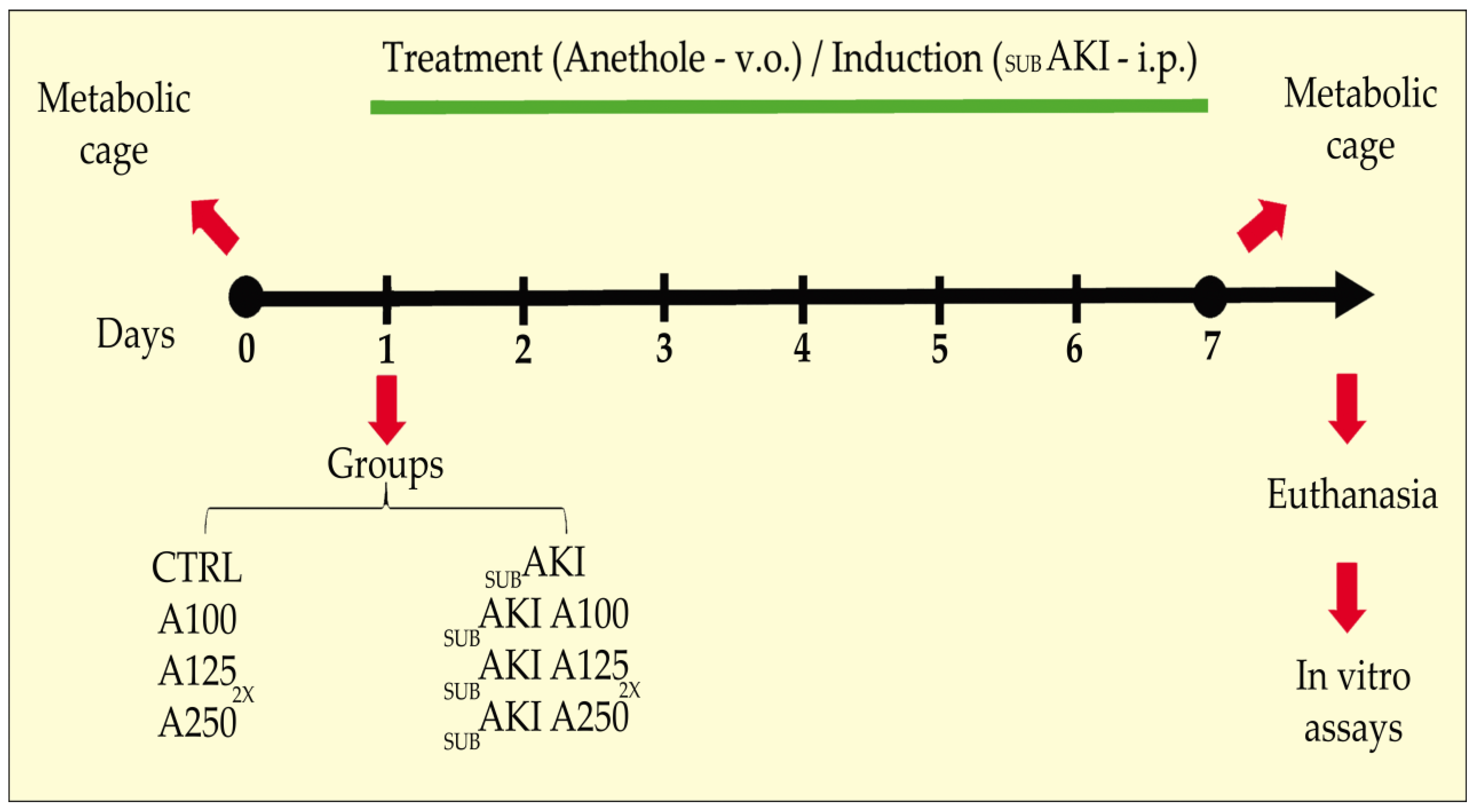 Pharmaceuticals 18 00541 g007