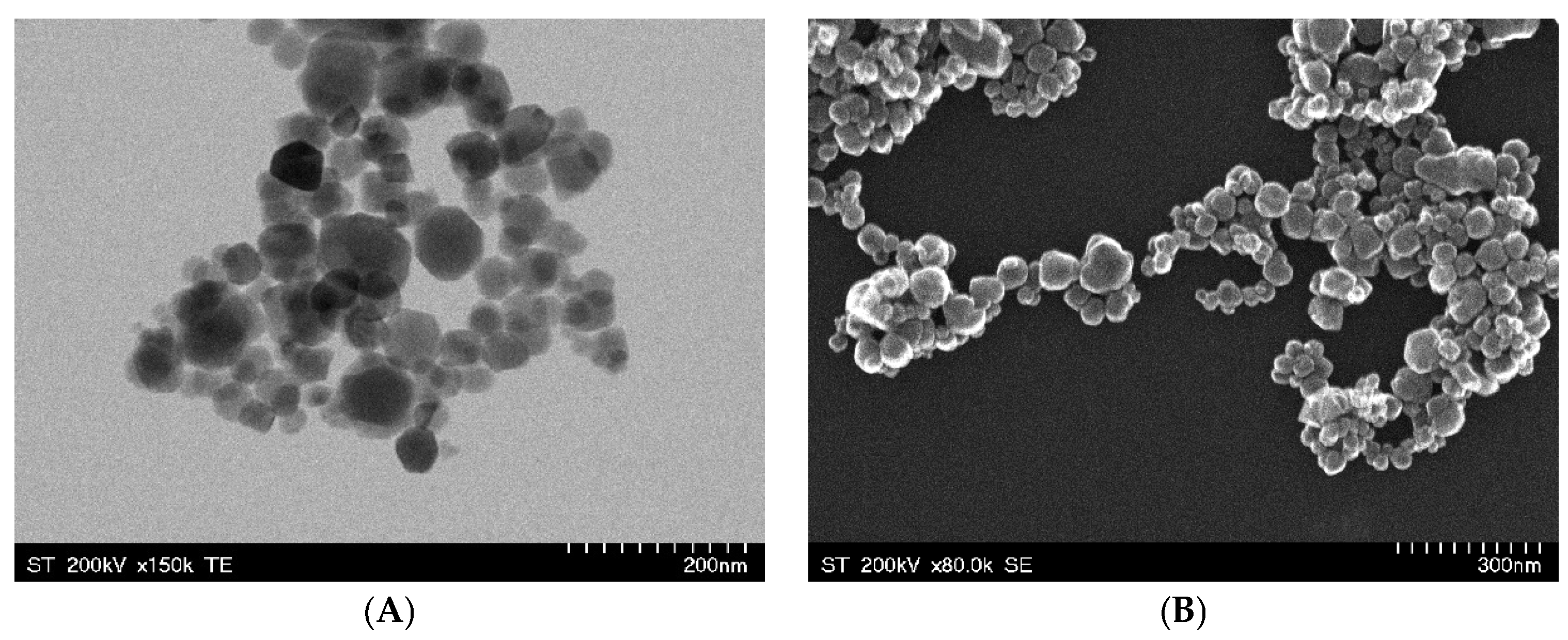 Pharmaceuticals 18 00542 g001 Pharmaceuticals 18 00542 g001