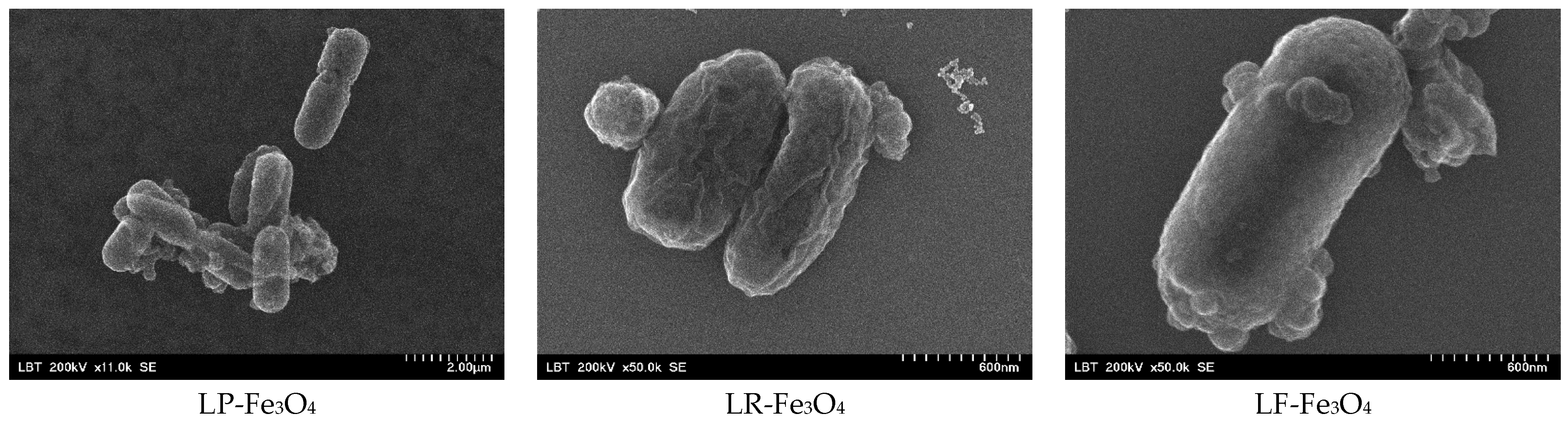 Pharmaceuticals 18 00542 g003 Pharmaceuticals 18 00542 g003