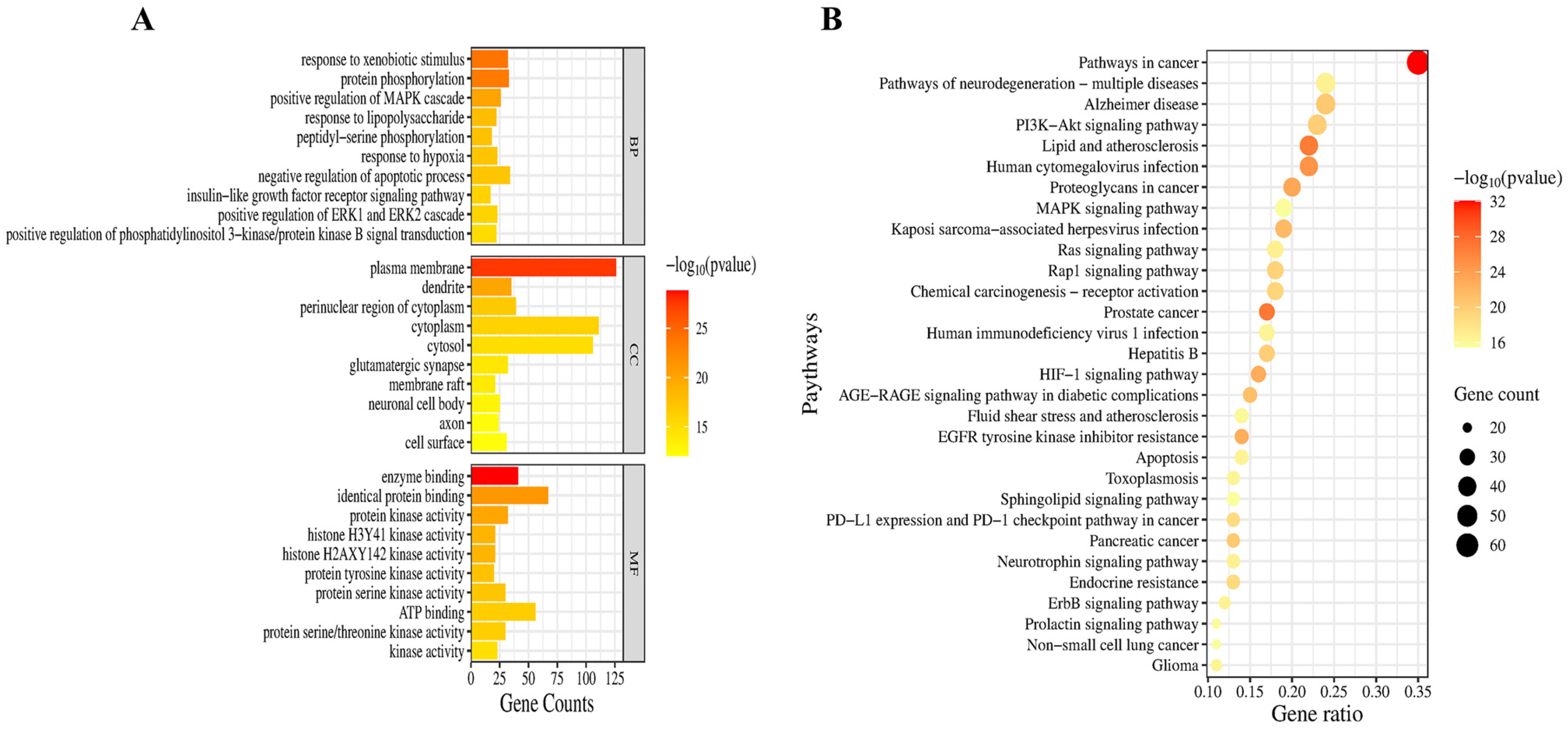 Pharmaceuticals 18 00544 g004