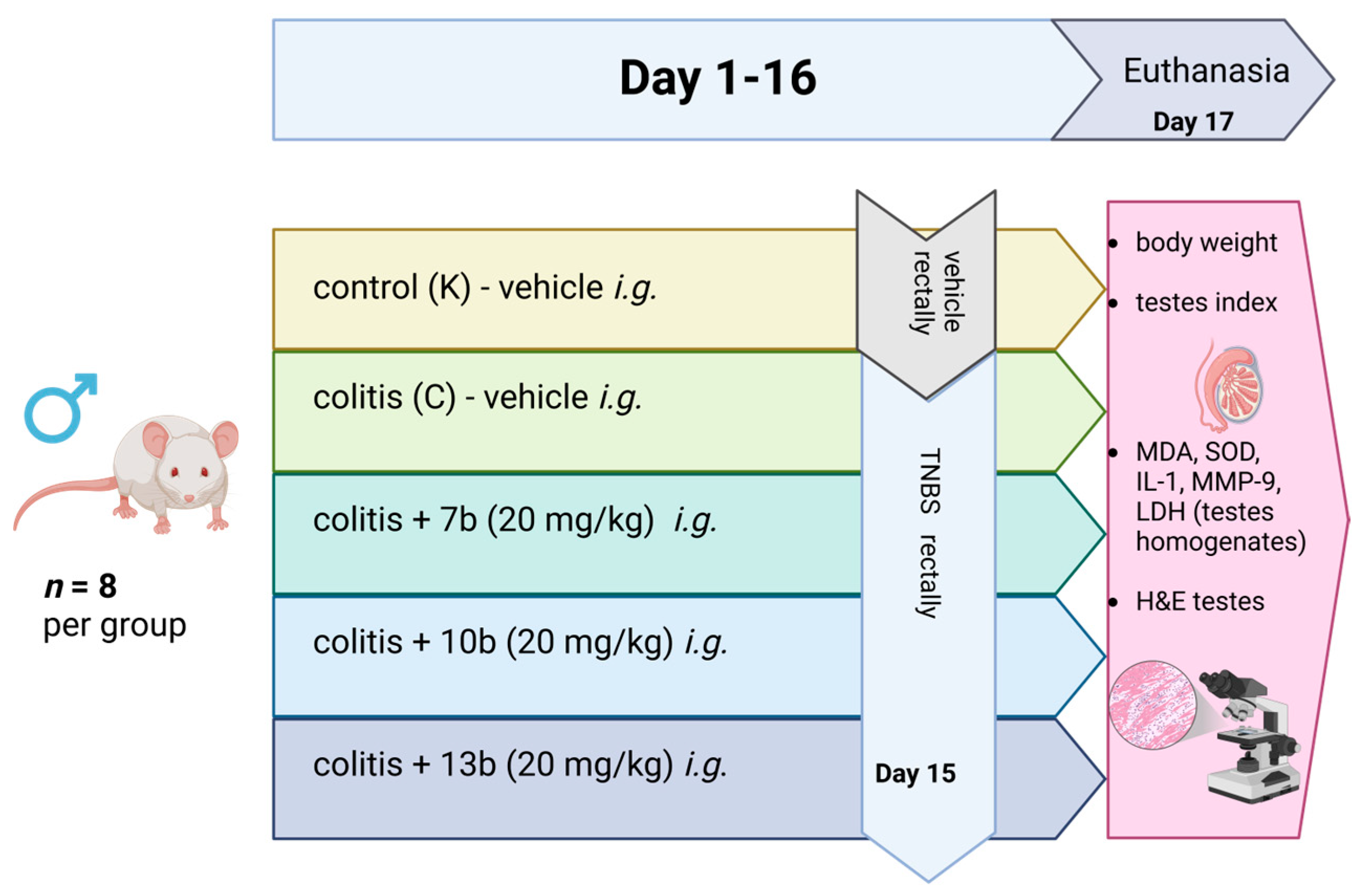 Pharmaceuticals 18 00546 g006