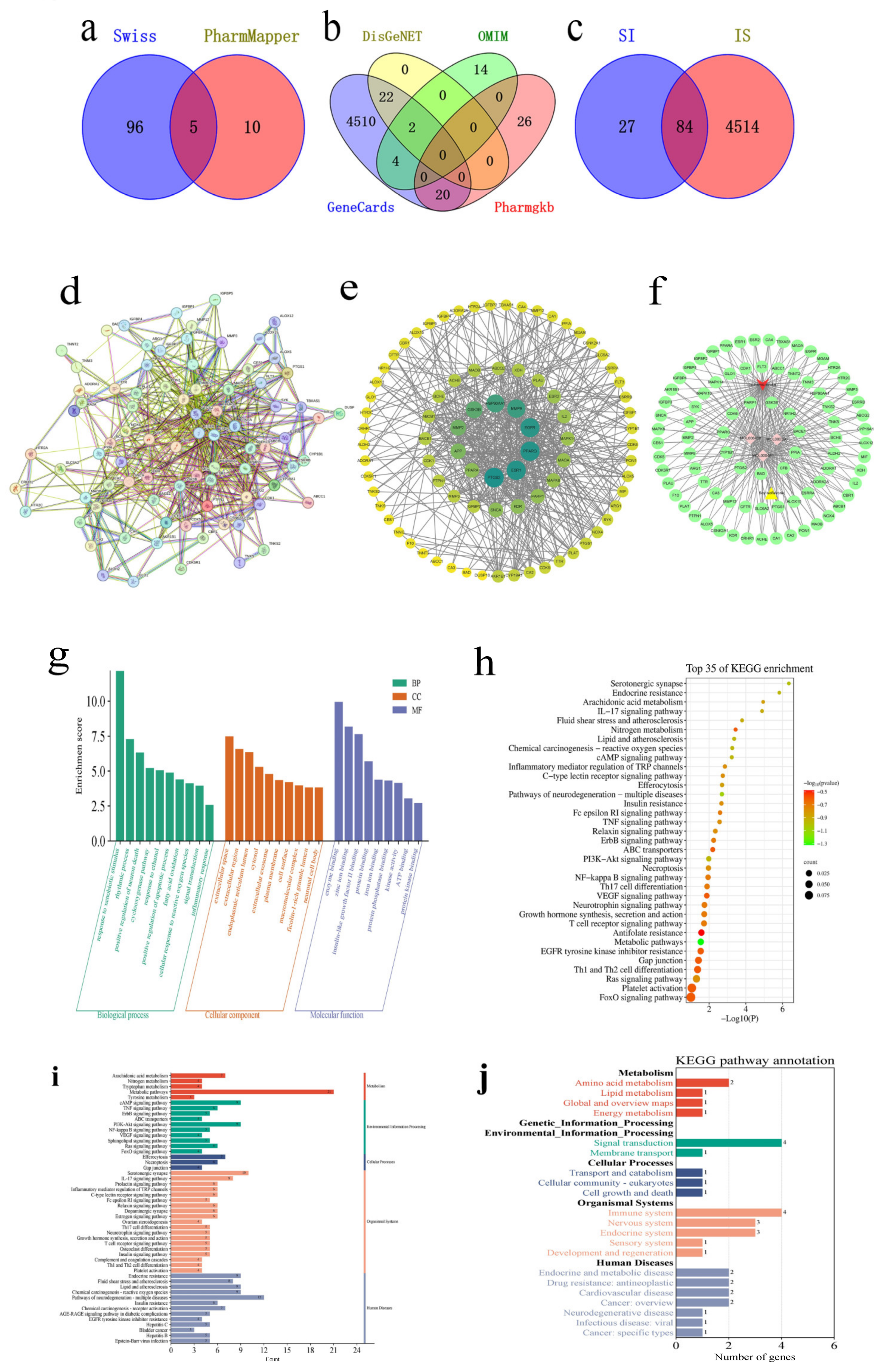 Pharmaceuticals 18 00548 g002